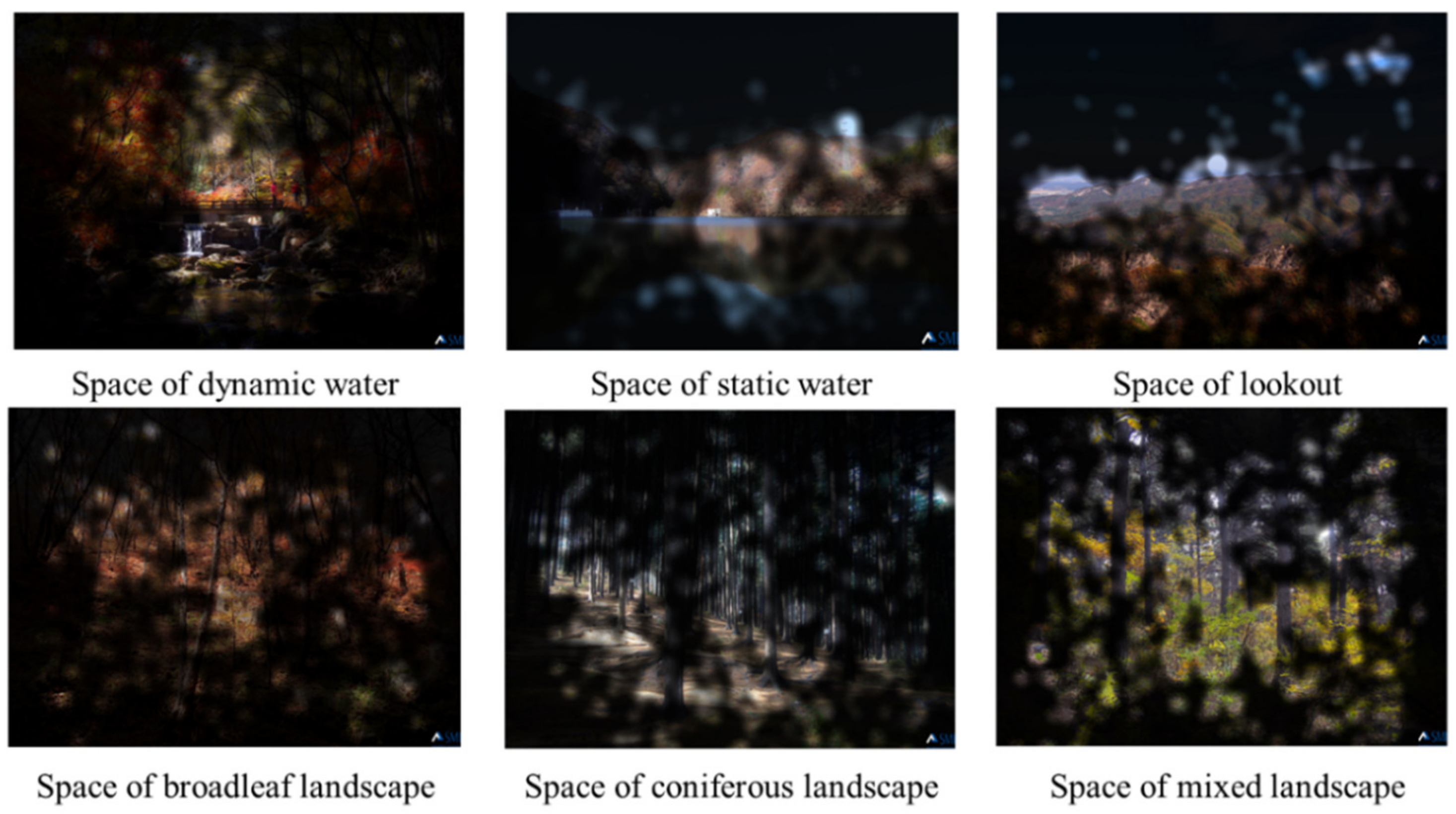 Forests 13 00136 g006 Forests 13 00136 g006