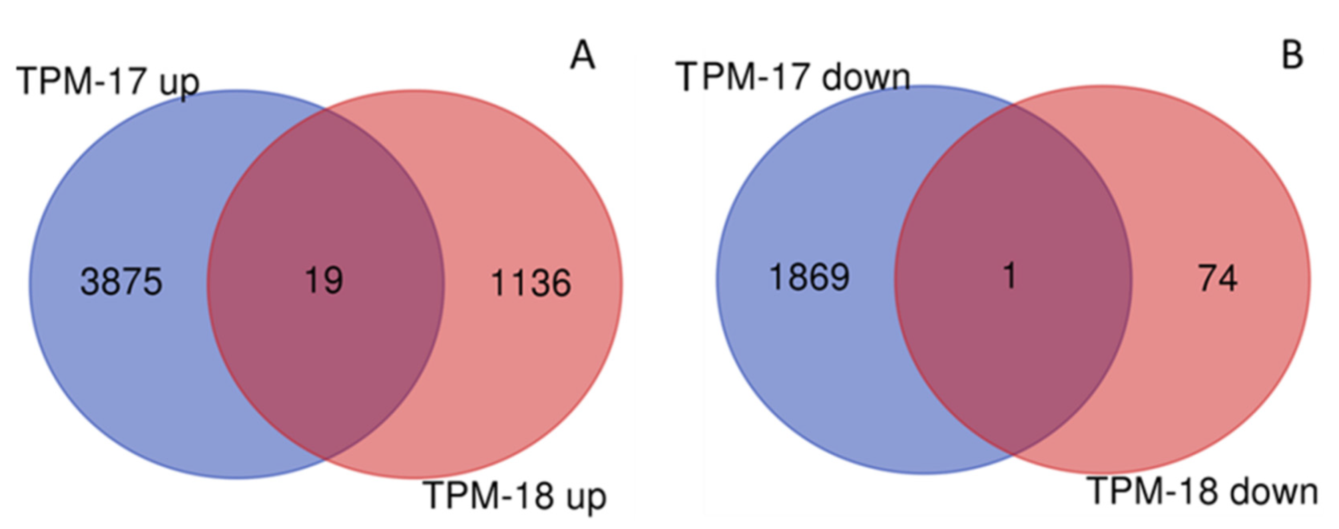 Forests 13 00147 g004 Forests 13 00147 g004