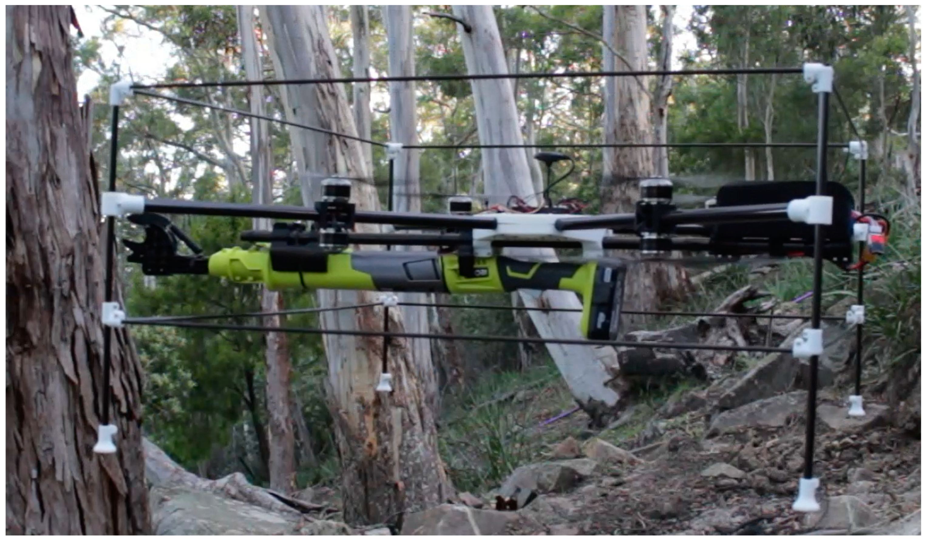 Forests 13 00153 g002 550