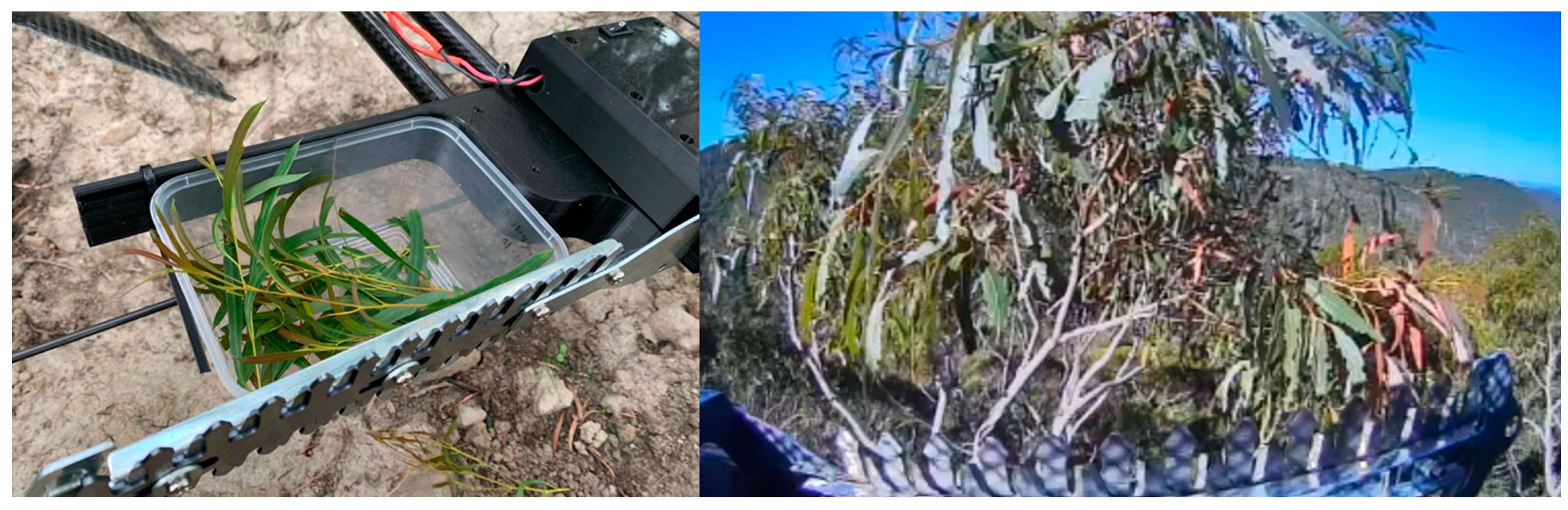 Forests 13 00153 g004 550