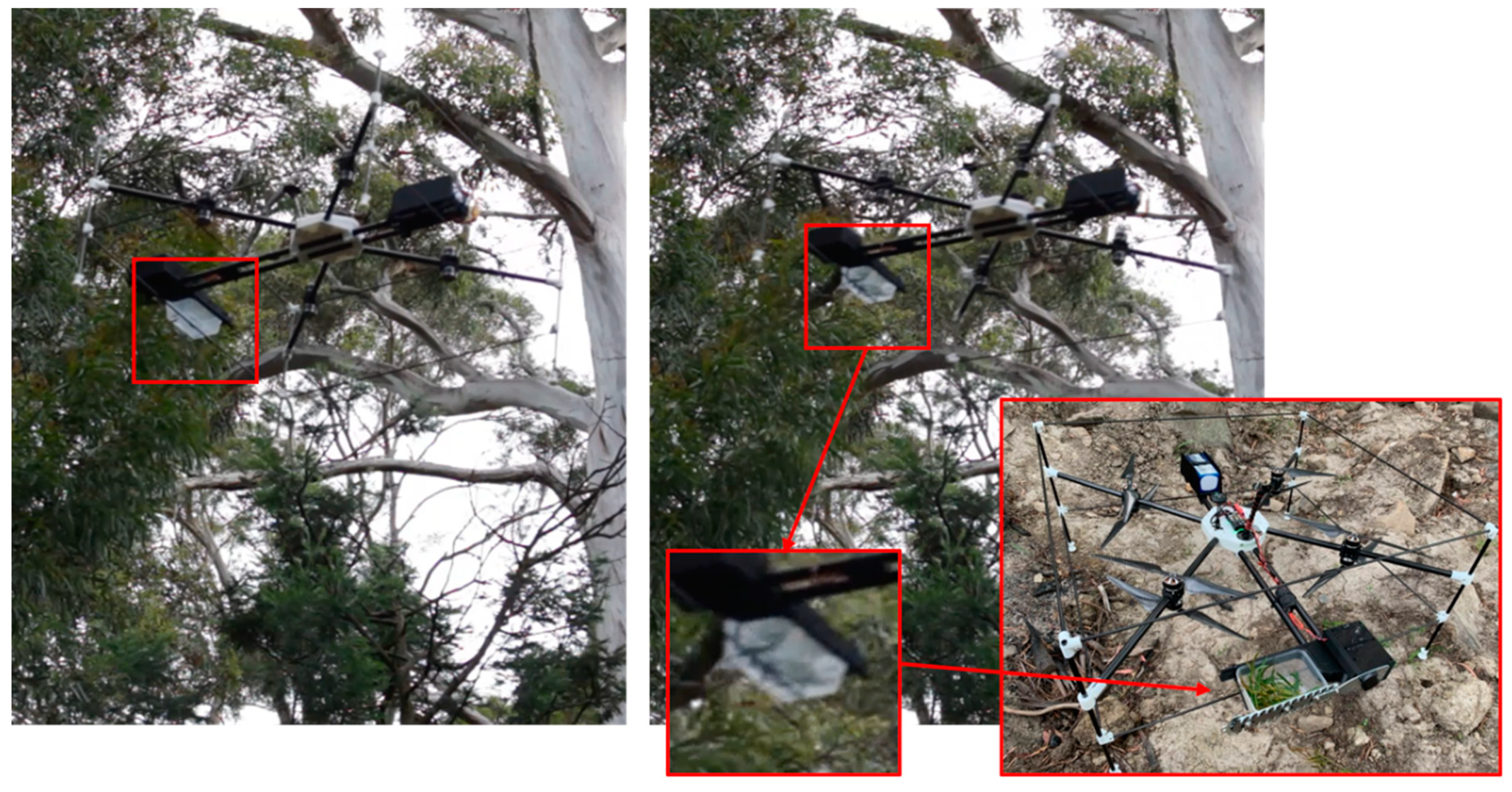 Forests 13 00153 g005 550