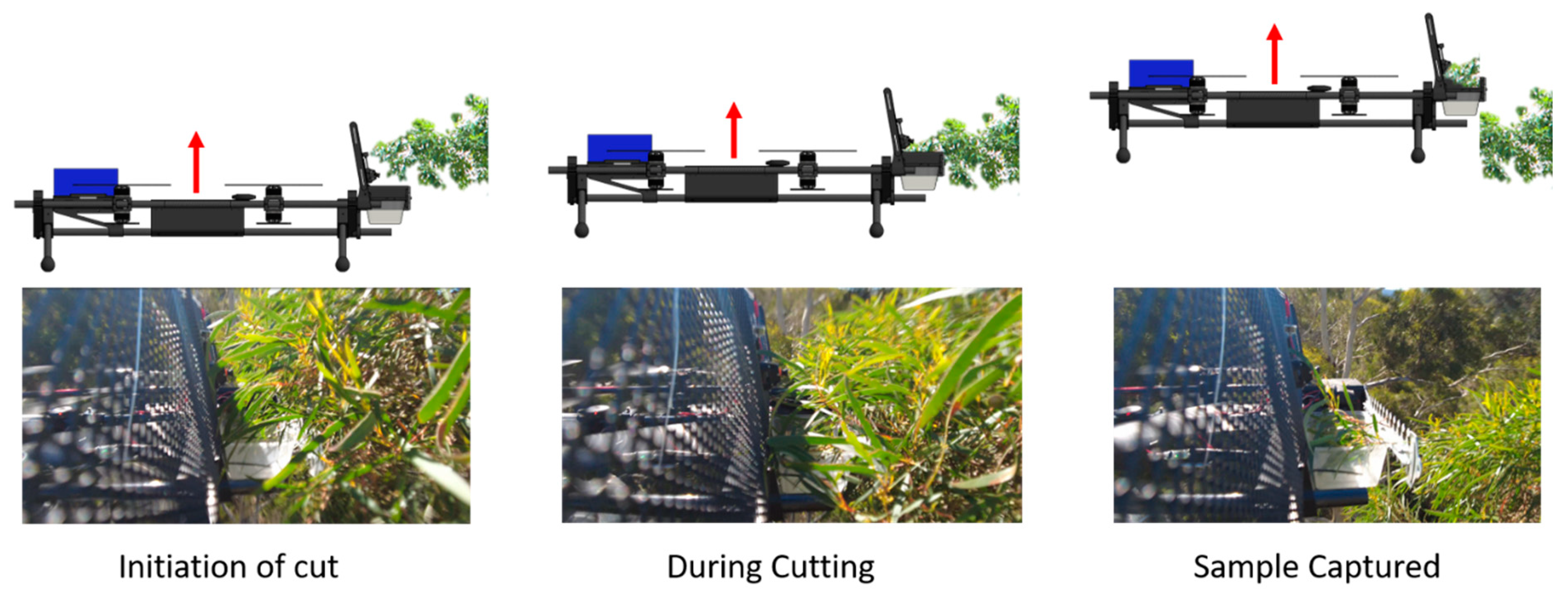 Forests 13 00153 g006 550