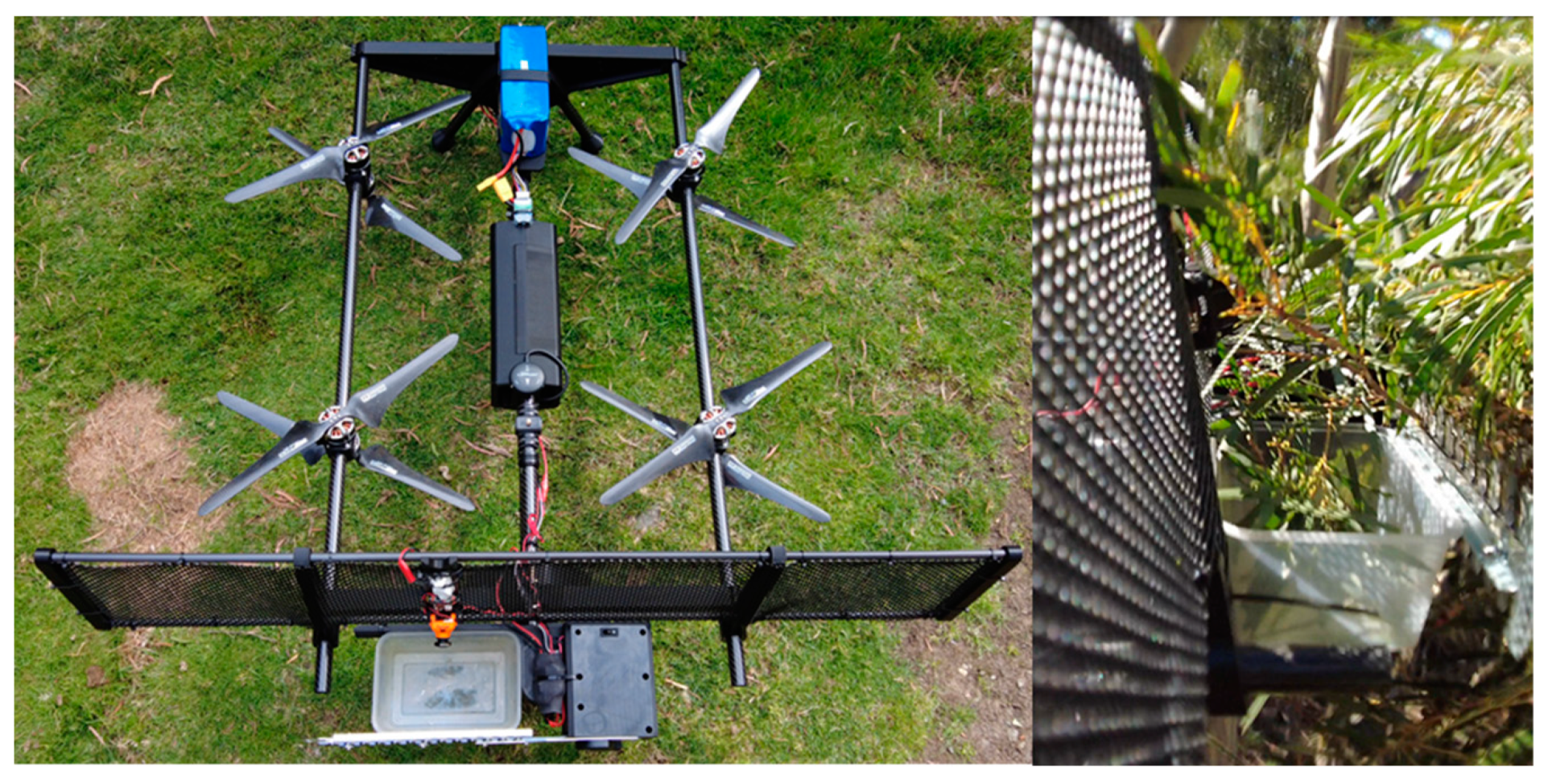 Forests 13 00153 g008 550