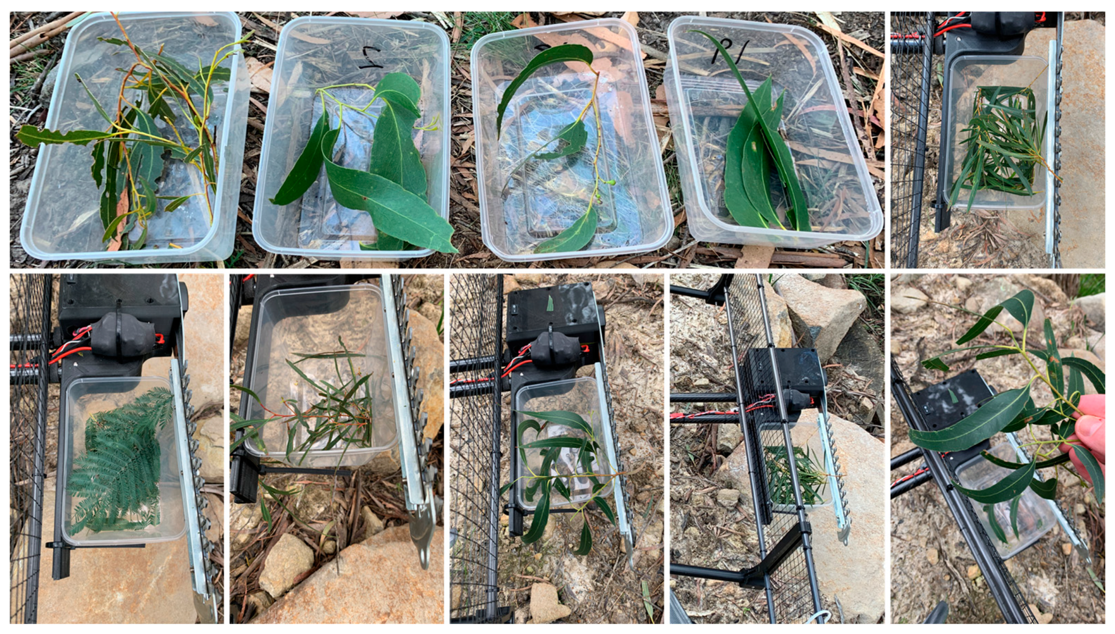 Forests 13 00153 g013 550