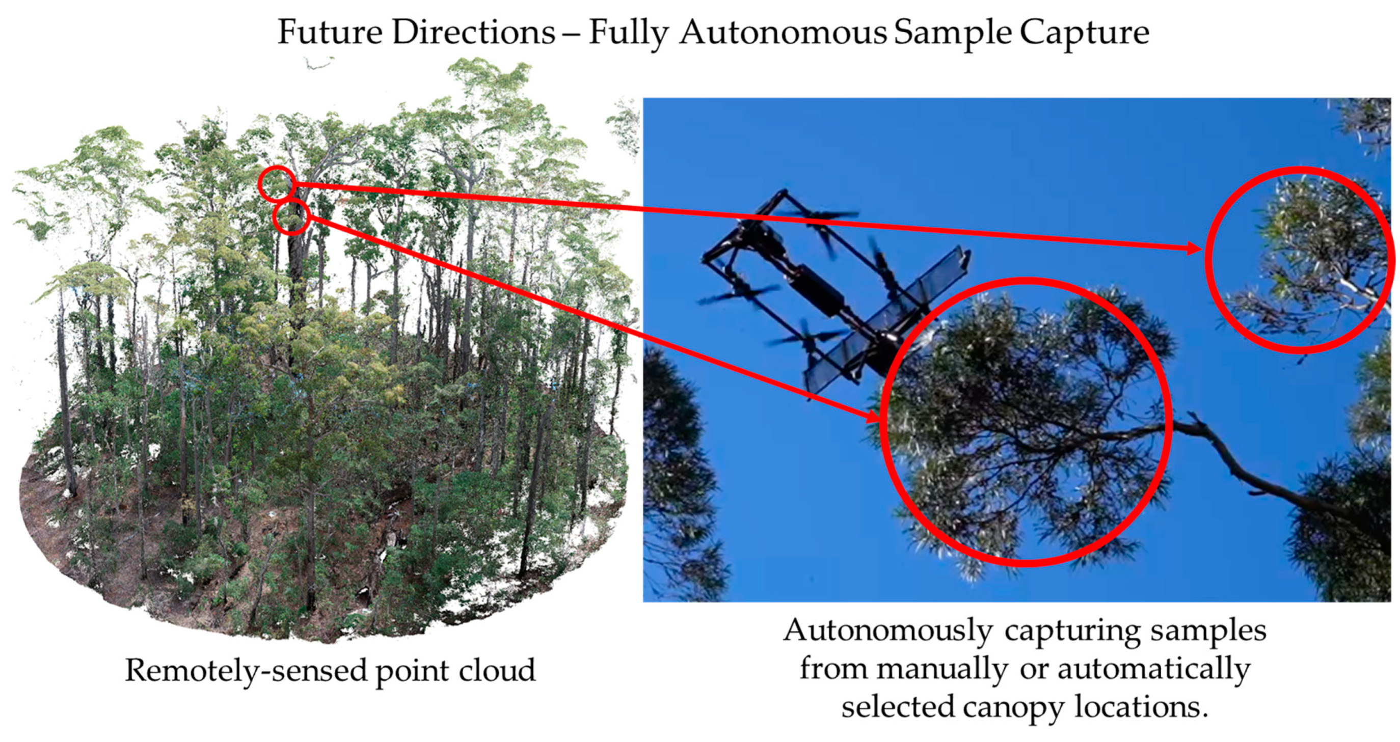 Forests 13 00153 g015 550