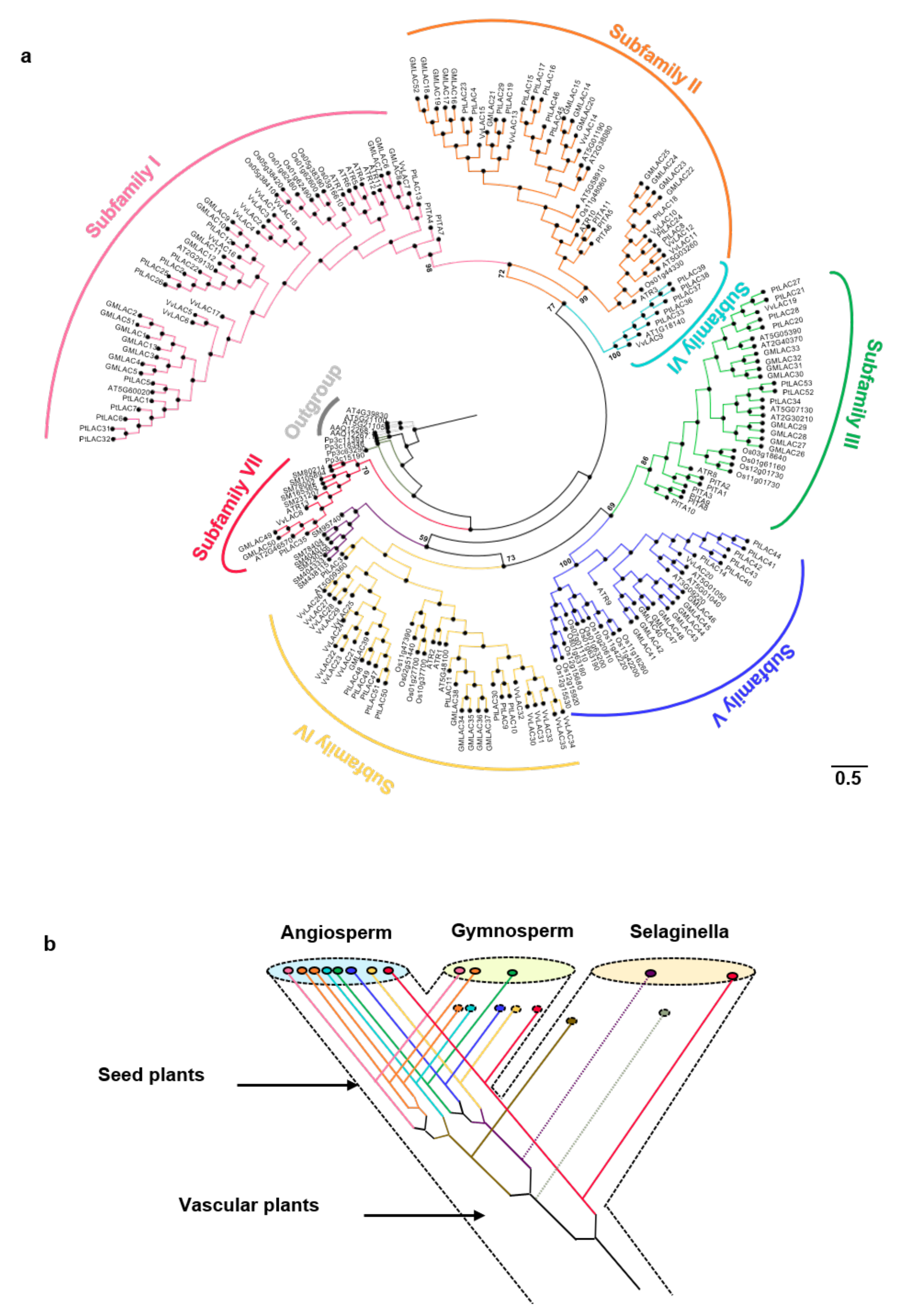 Forests 13 00157 g001