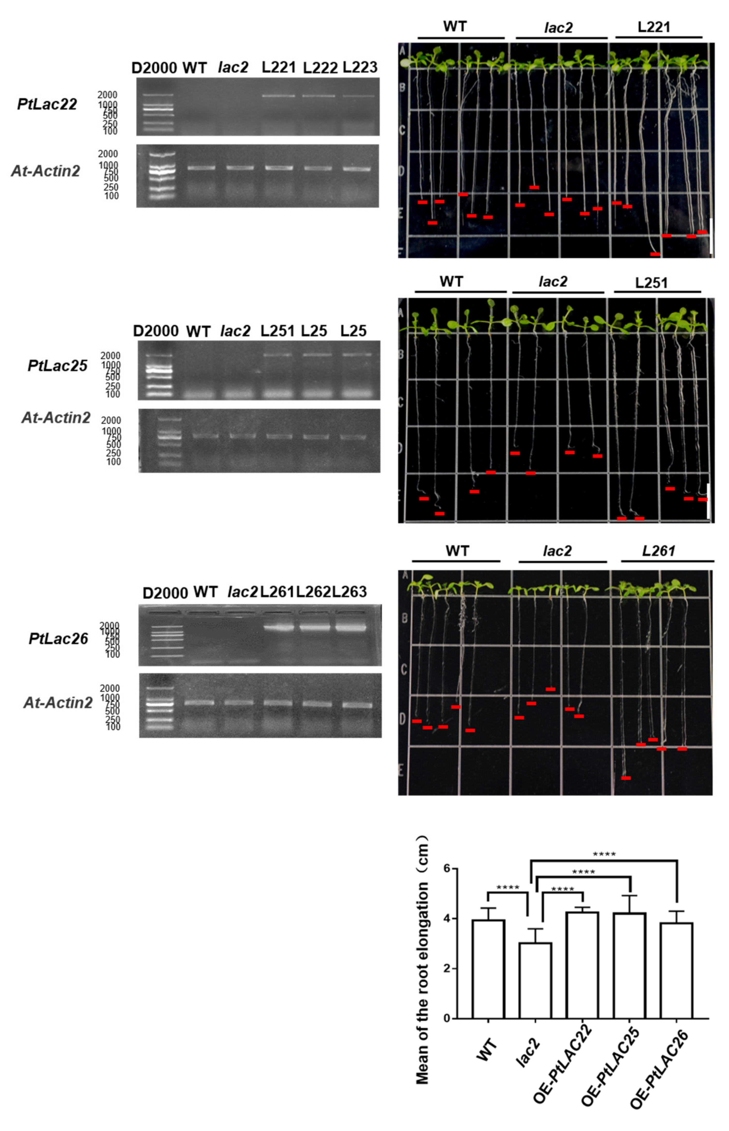 Forests 13 00157 g008