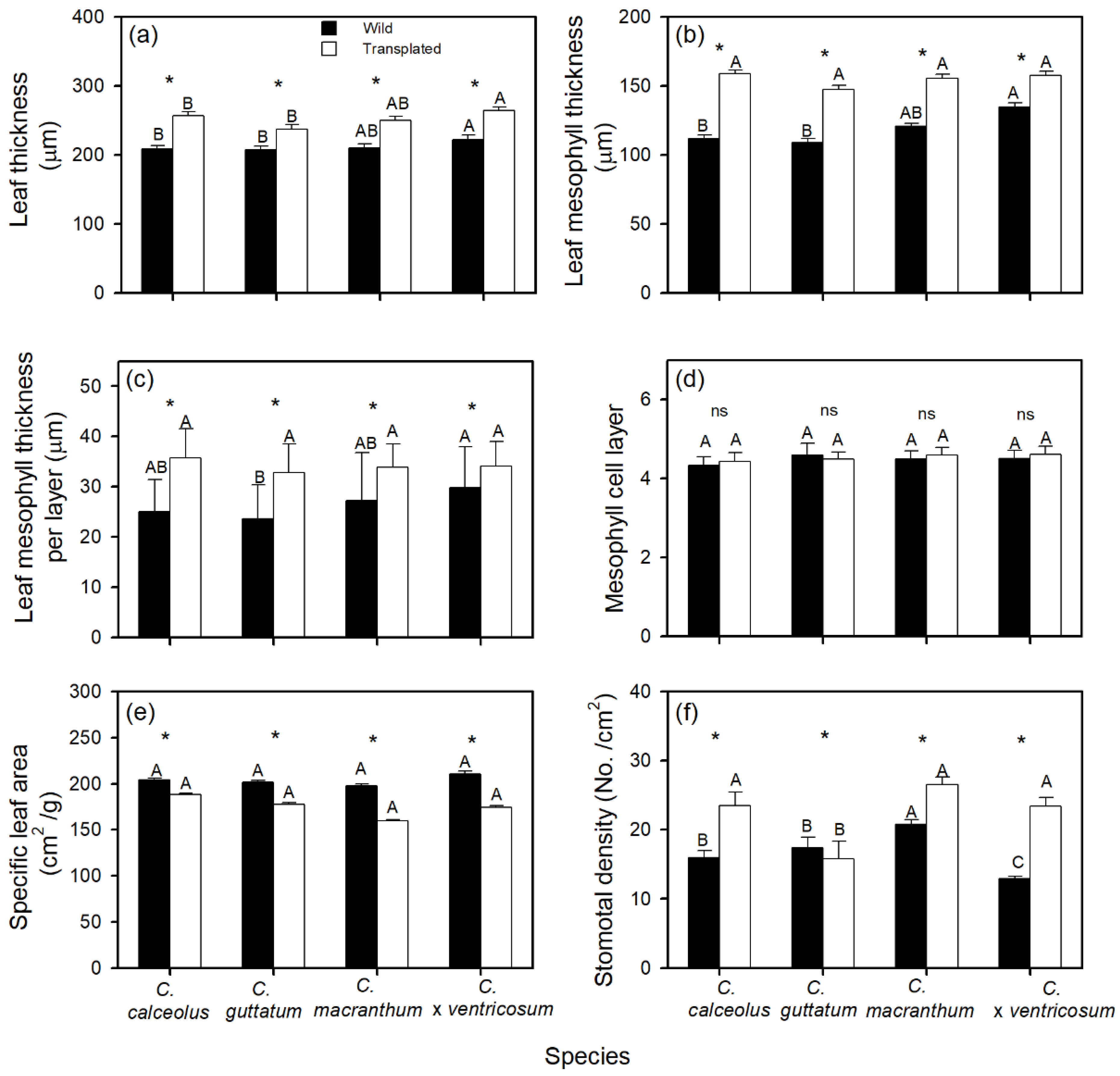 Forests 13 00166 g002 Forests 13 00166 g002