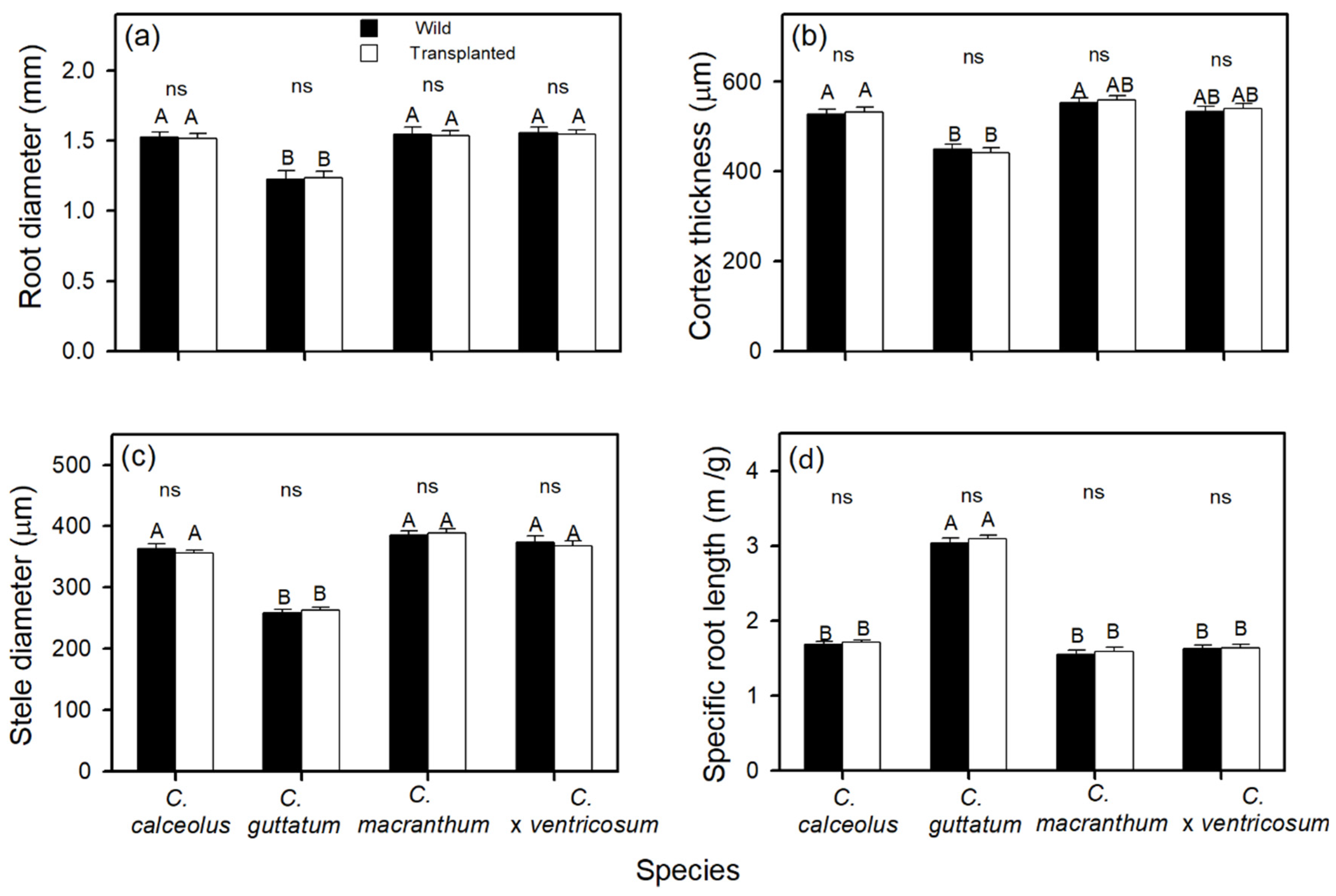 Forests 13 00166 g003 Forests 13 00166 g003