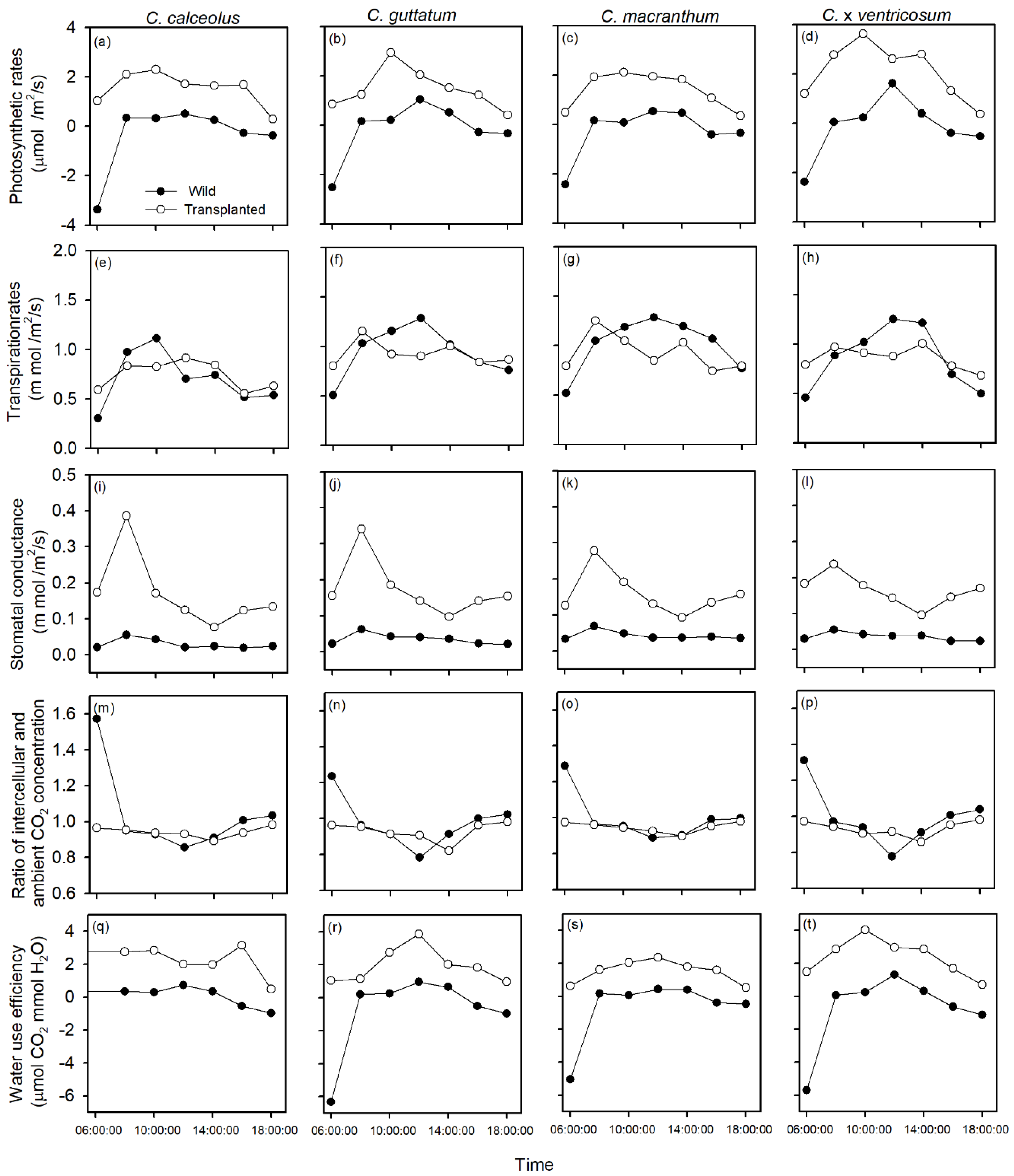 Forests 13 00166 g004 Forests 13 00166 g004