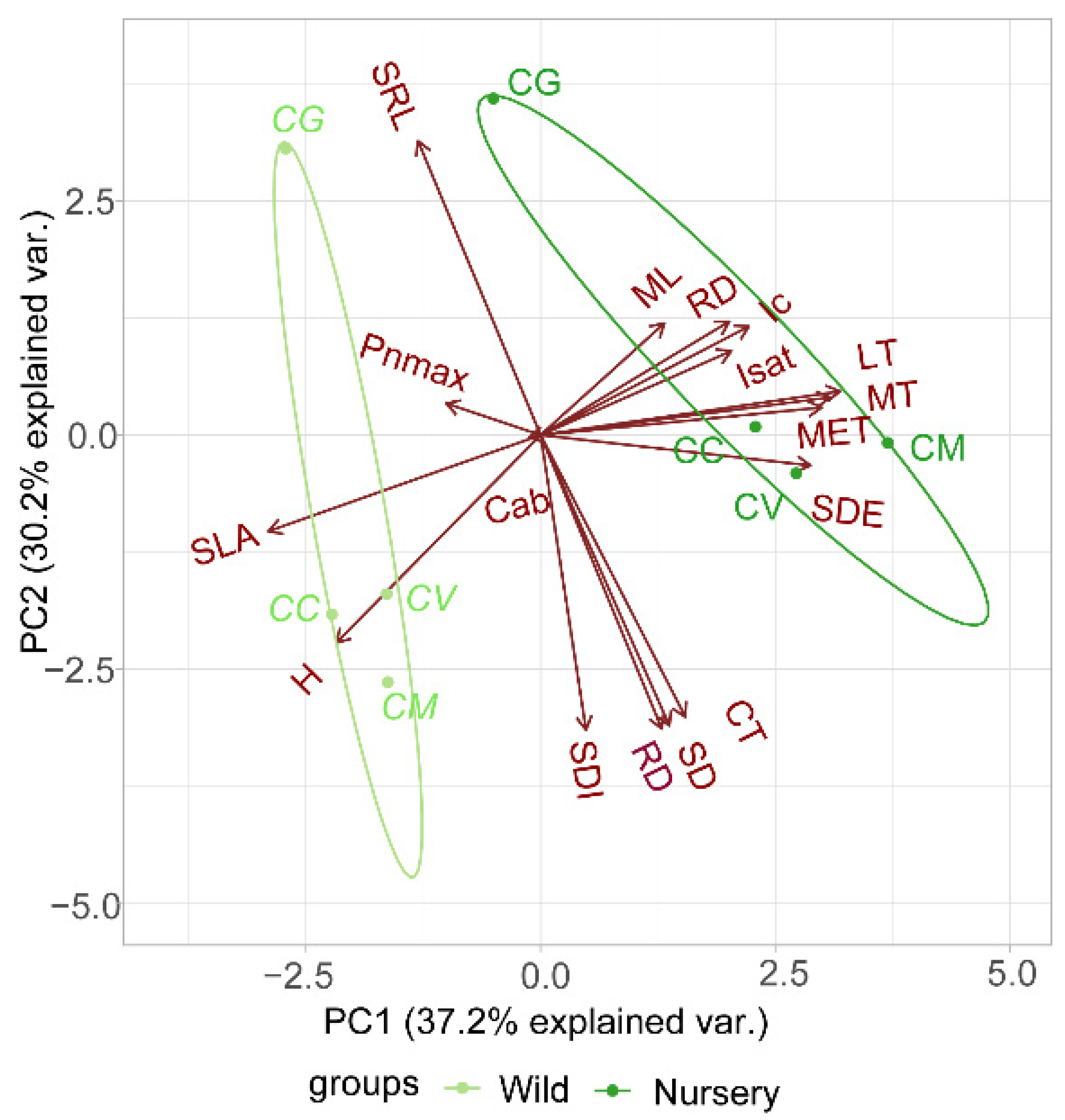 Forests 13 00166 g006 Forests 13 00166 g006