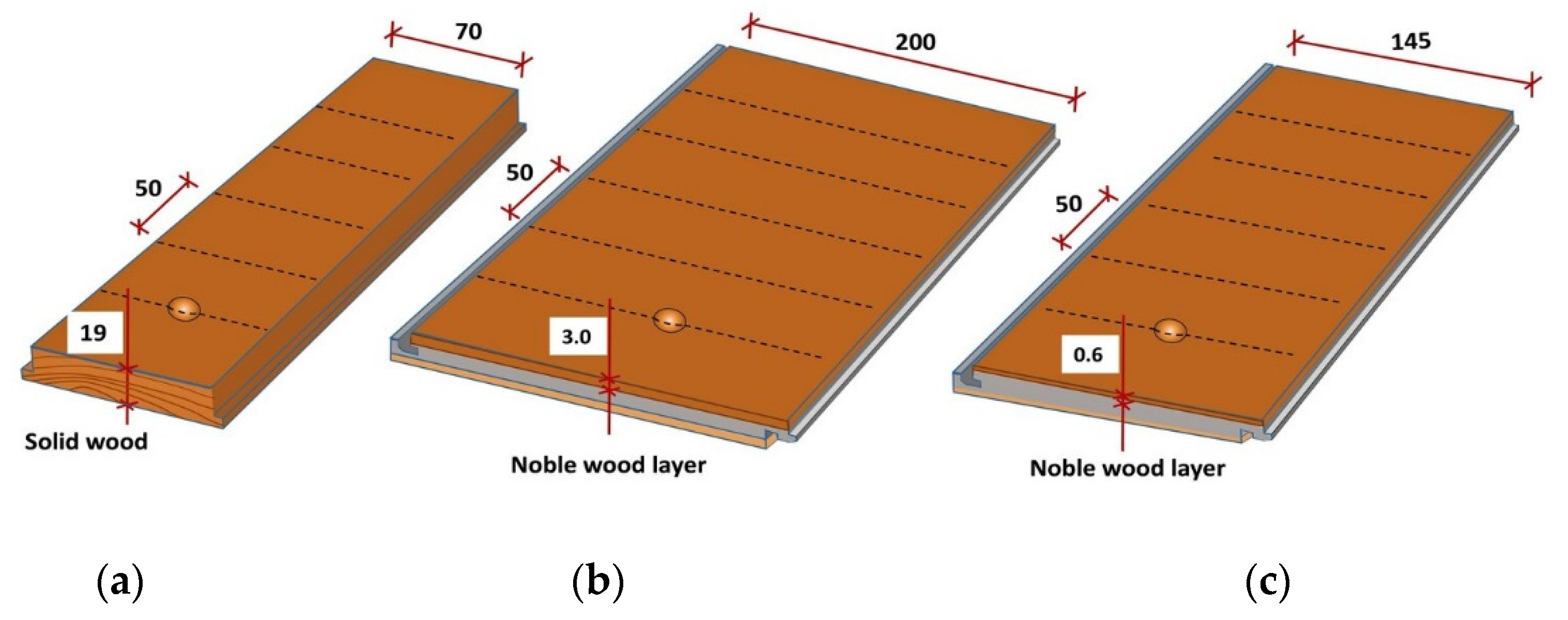 Forests 13 00167 g001