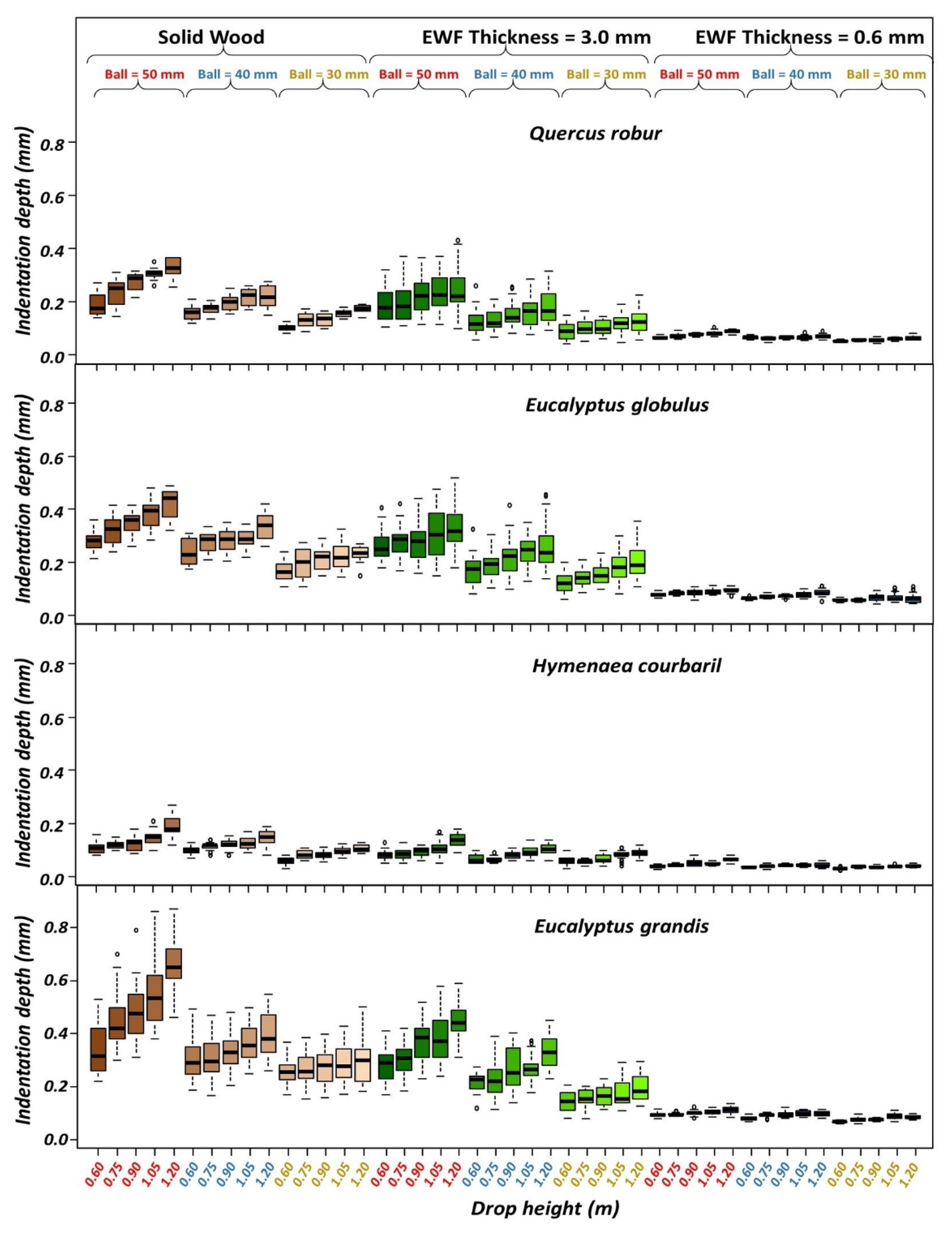 Forests 13 00167 g004