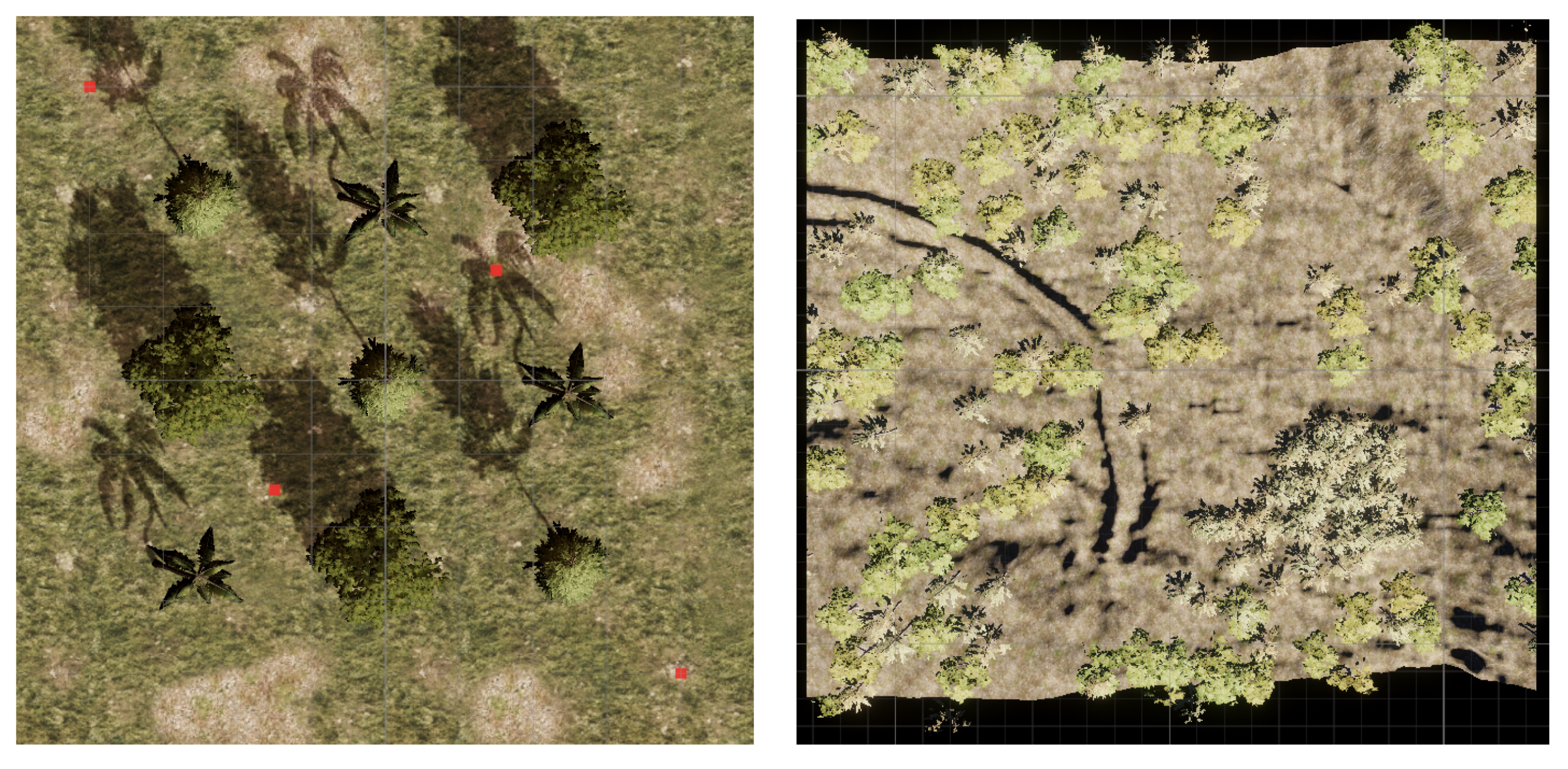 Forests 13 00173 g003 550