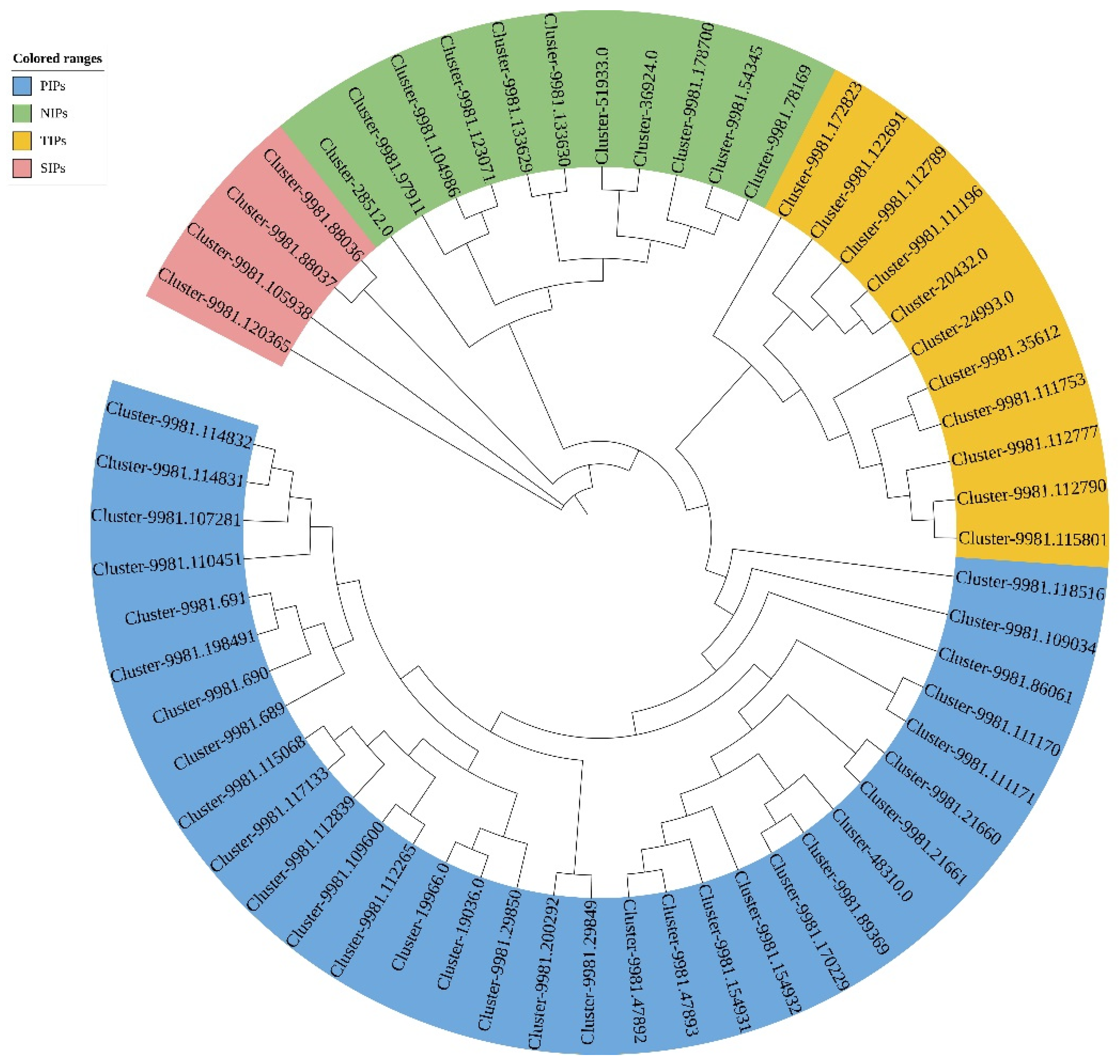 Forests 13 00182 g002 550