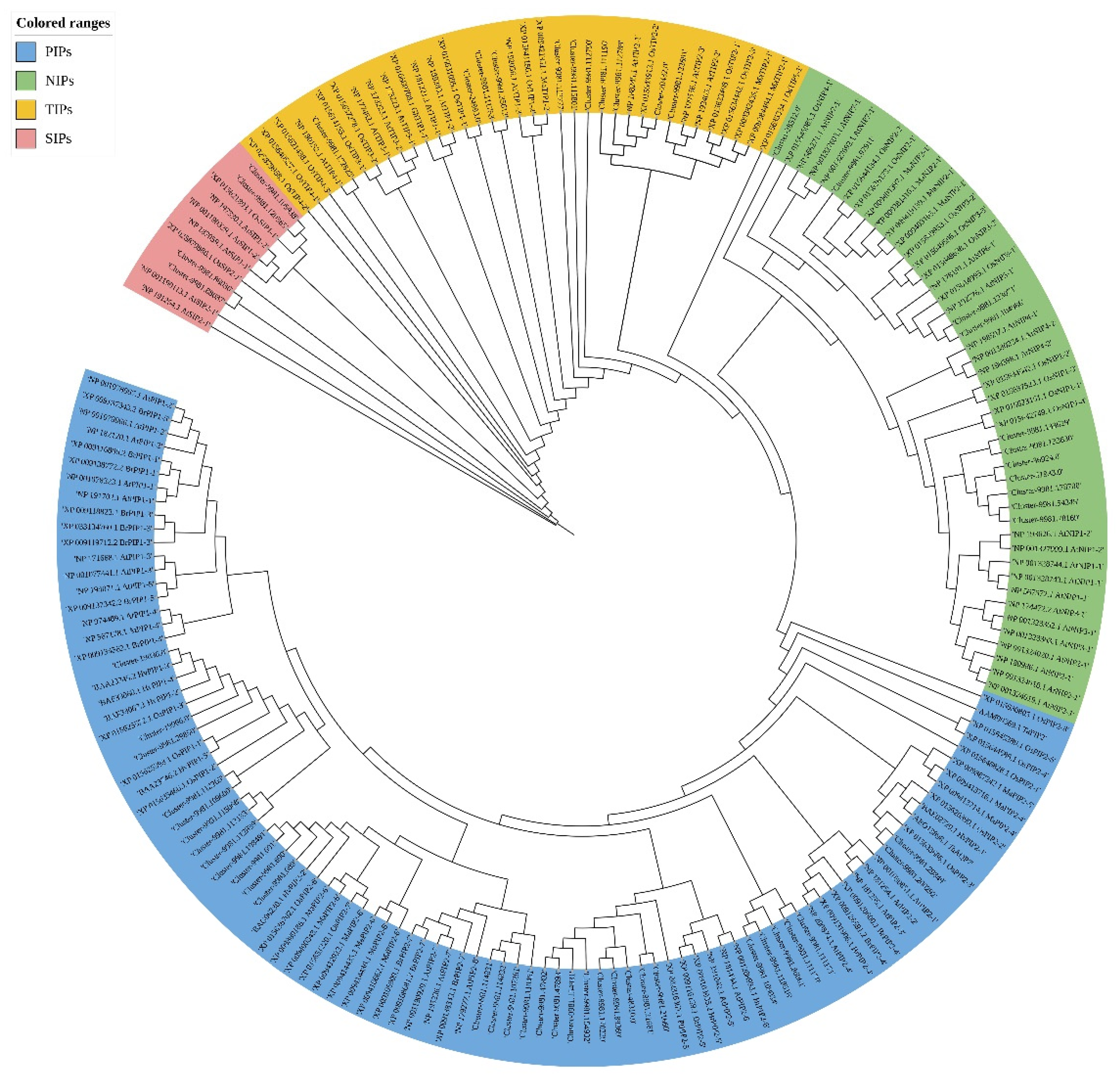 Forests 13 00182 g003 550