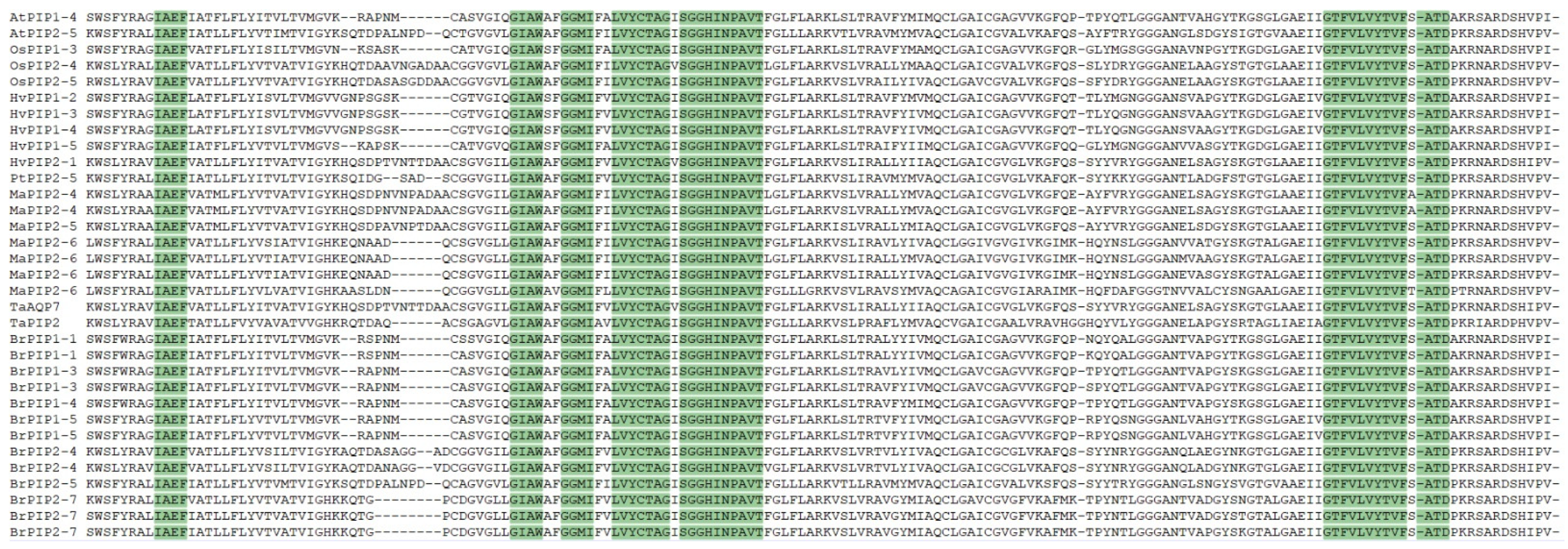 Forests 13 00182 g005 550