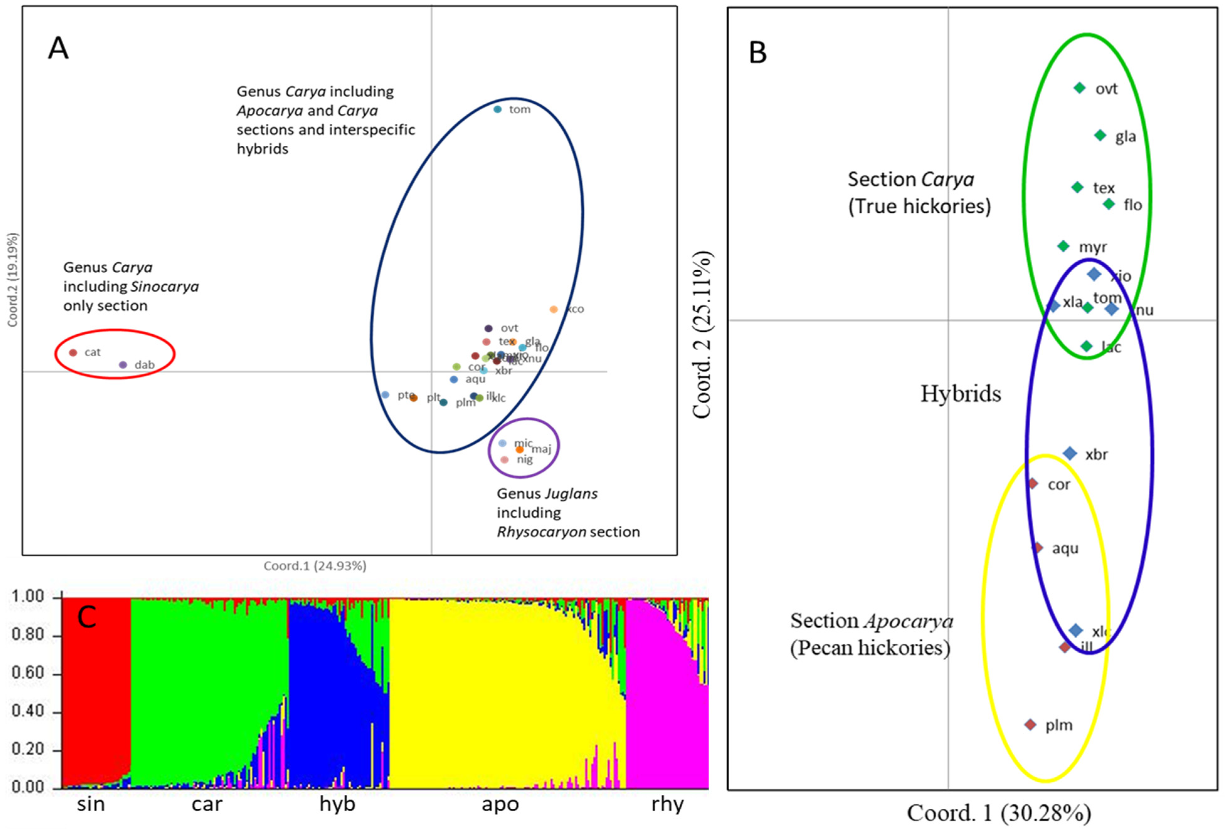 Forests 13 00188 g002