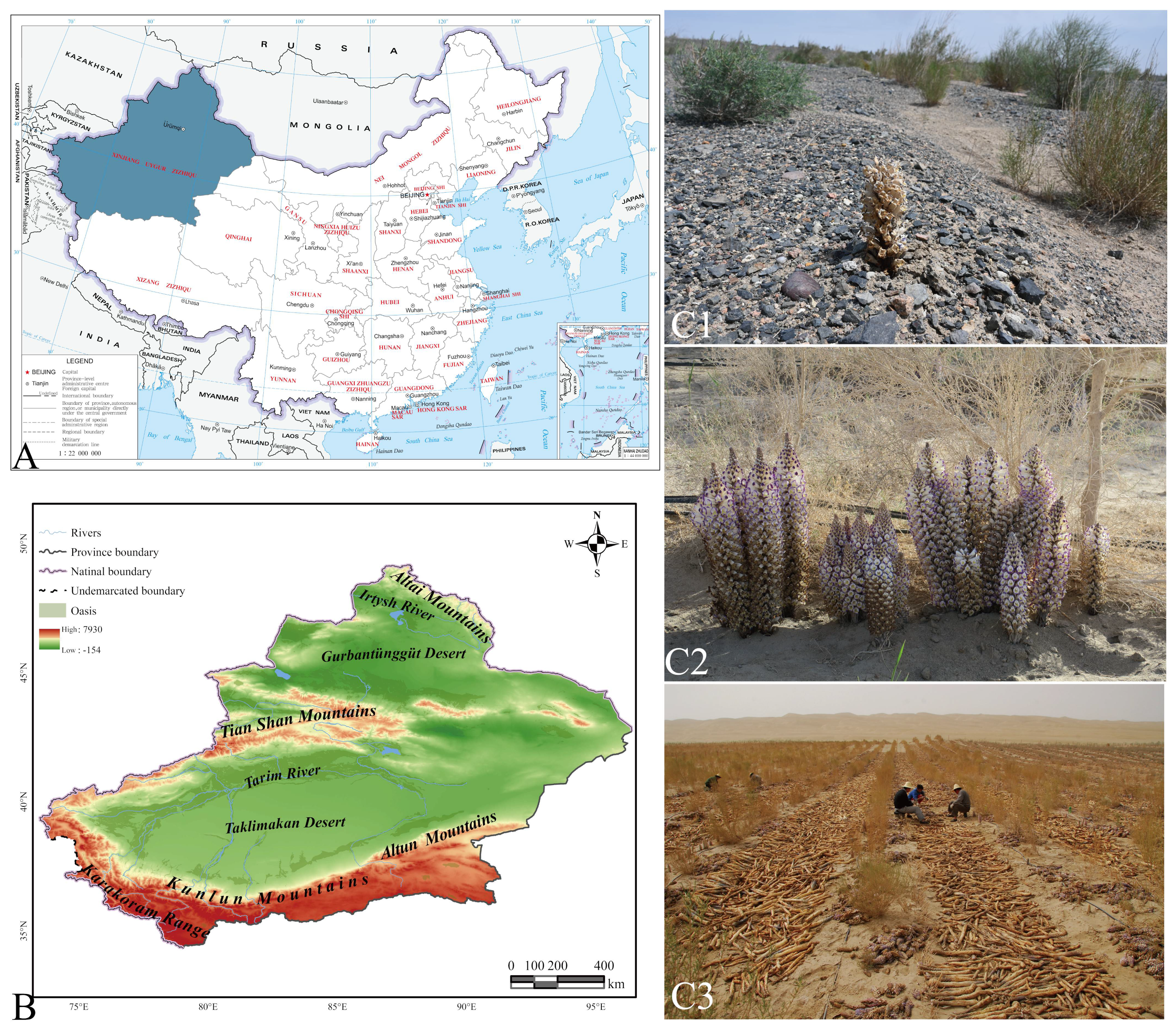 Forests 13 00189 g001 Forests 13 00189 g001