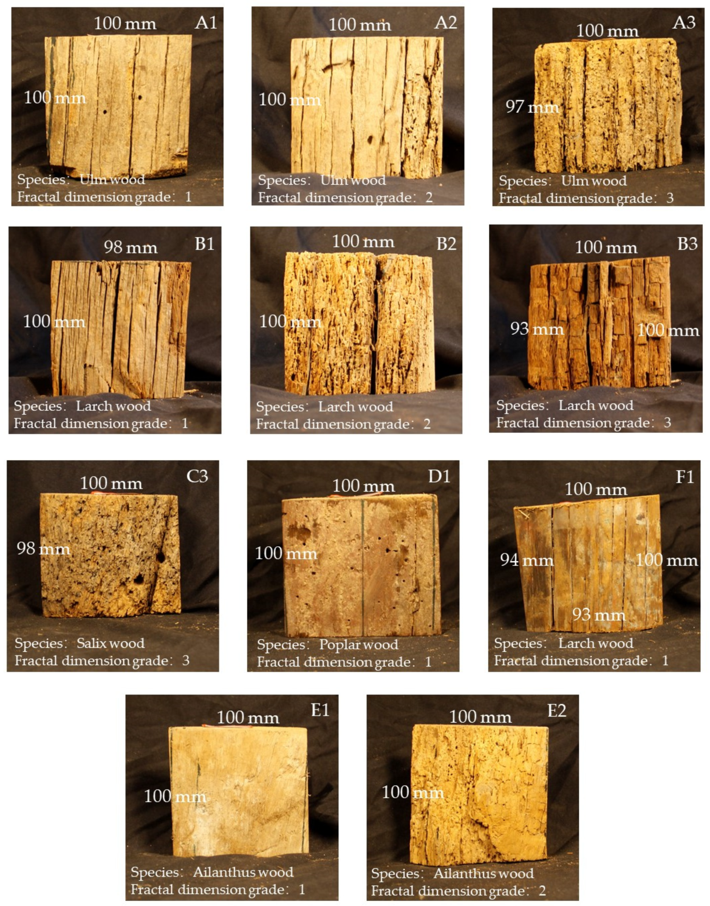 Forests 13 00190 g001