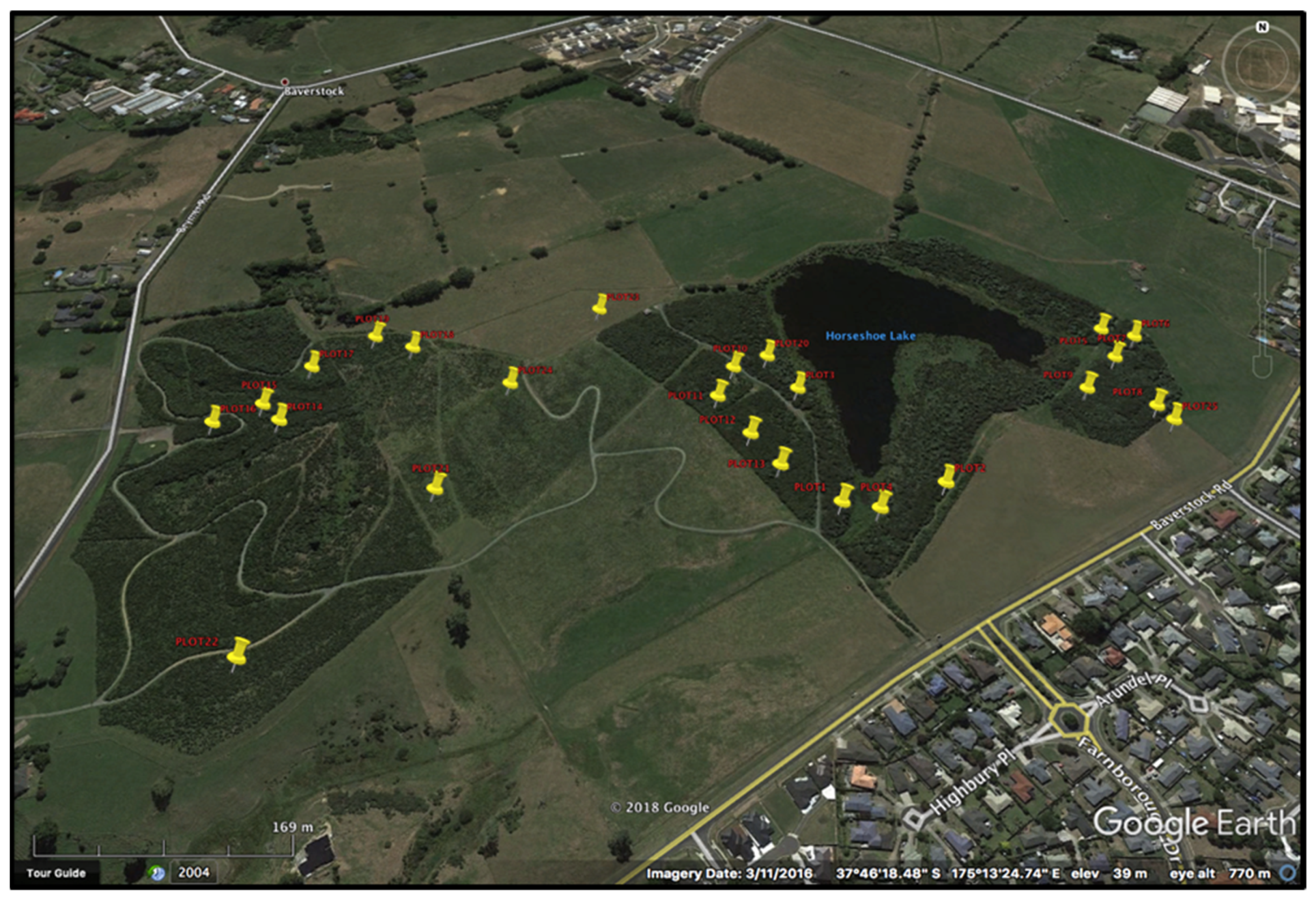 Forests 13 00199 g003