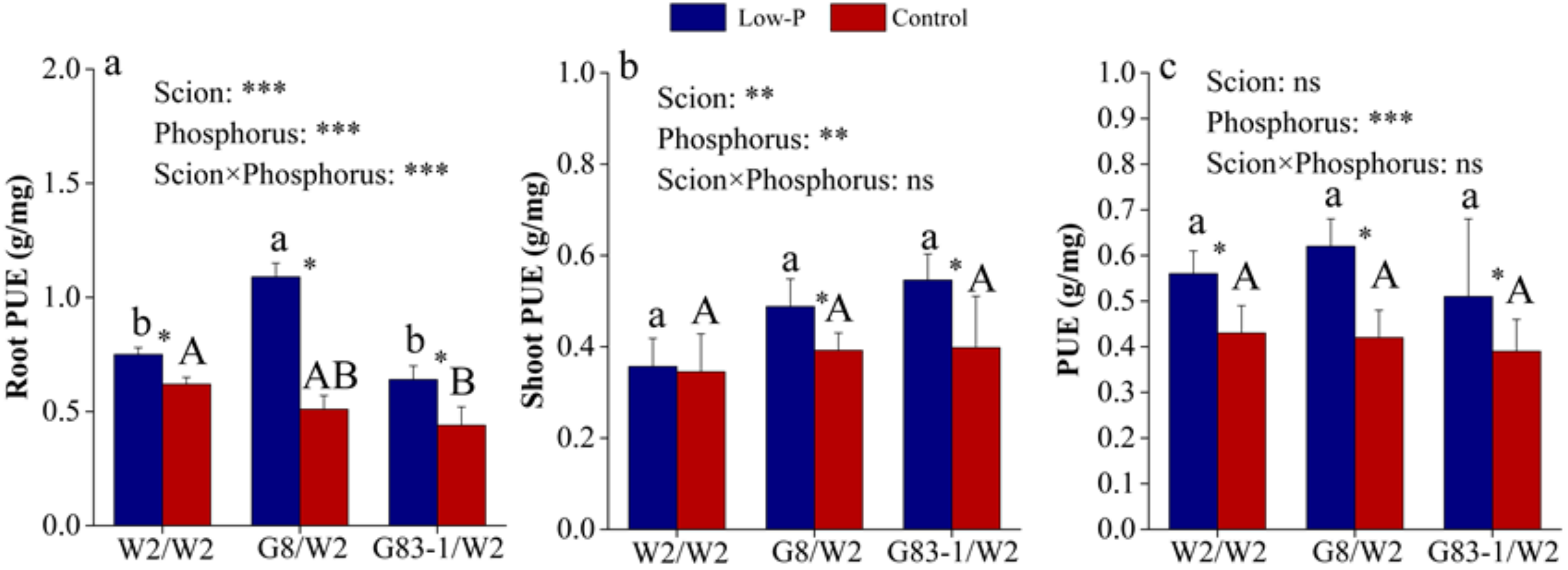 Forests 13 00203 g004