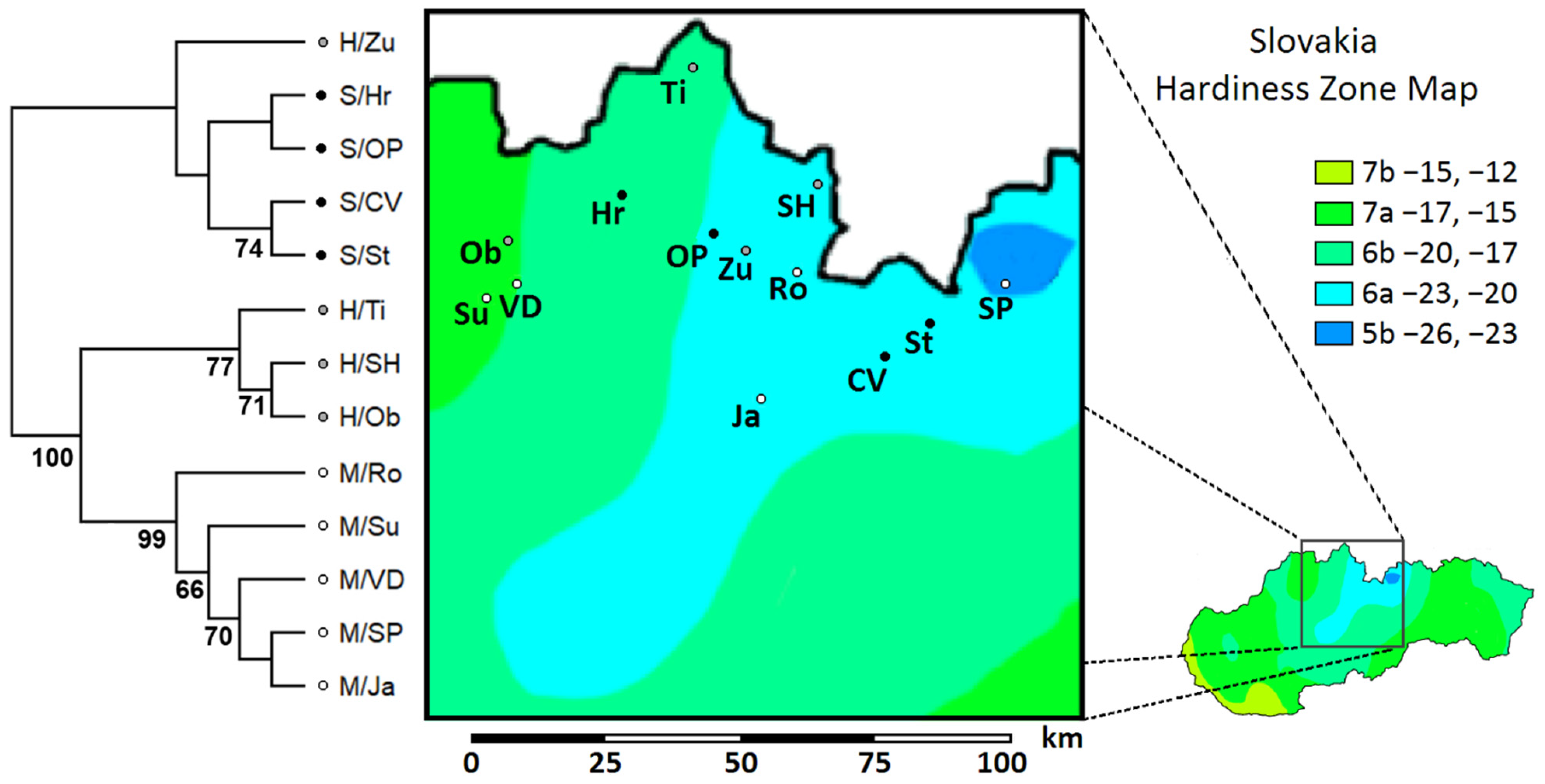 Forests 13 00205 g004