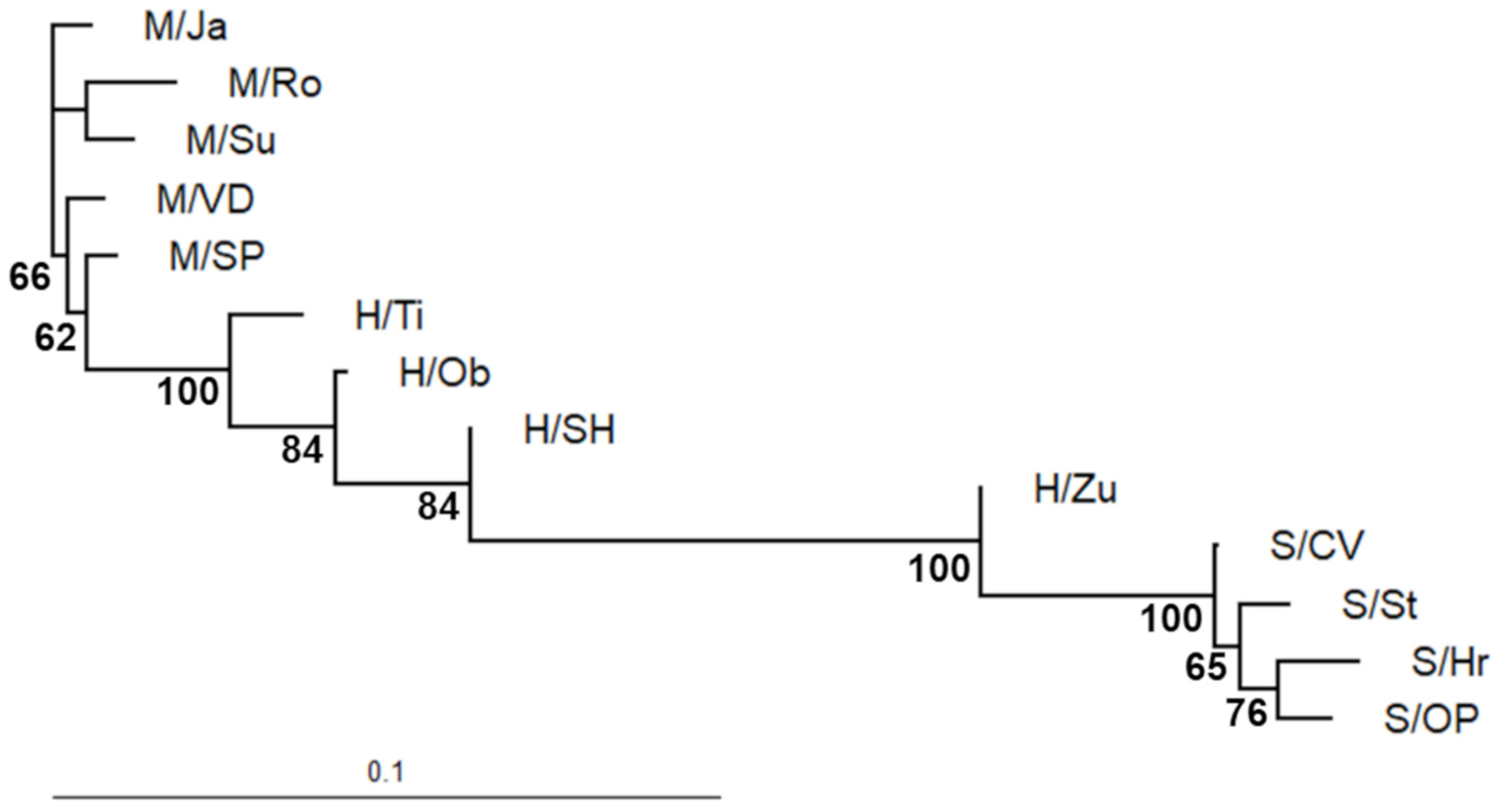 Forests 13 00205 g005