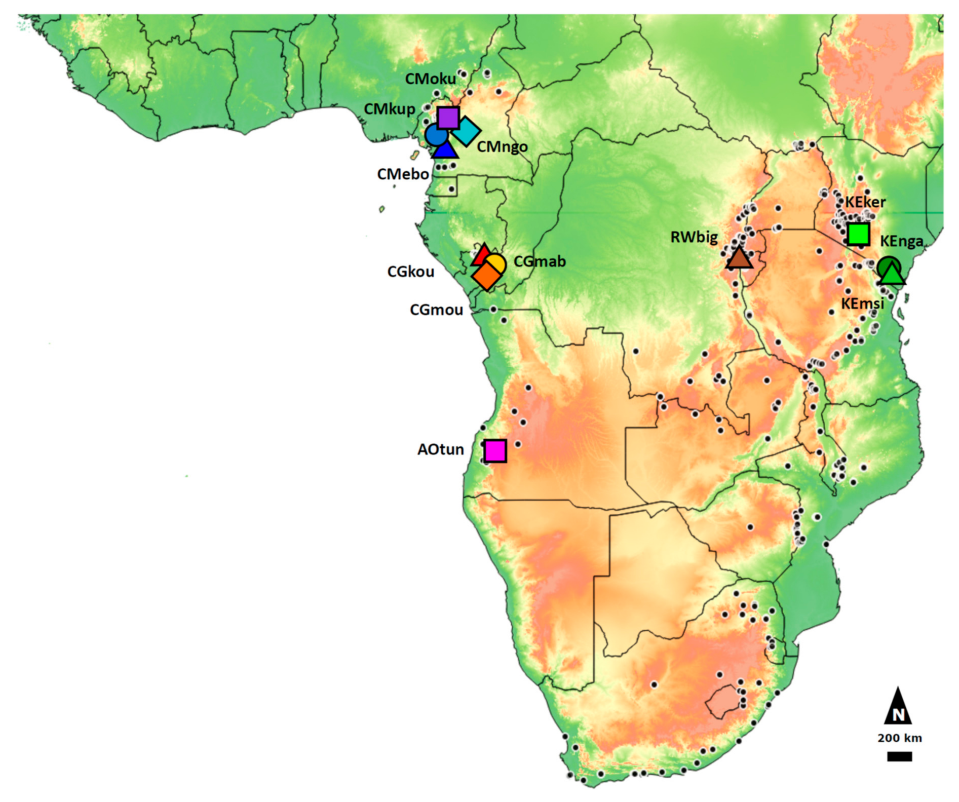 Forests 13 00208 g001 Forests 13 00208 g001