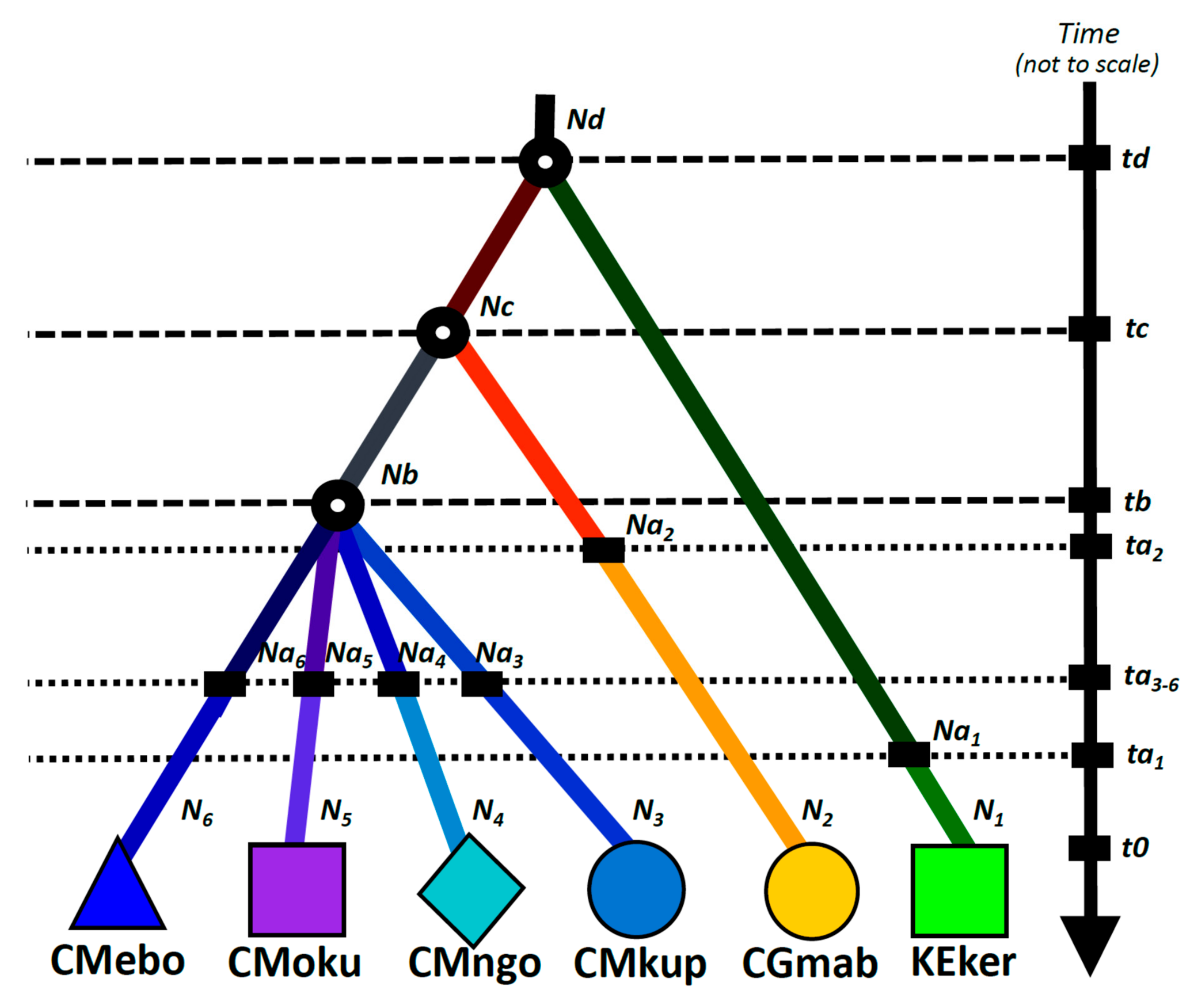 Forests 13 00208 g005 Forests 13 00208 g005