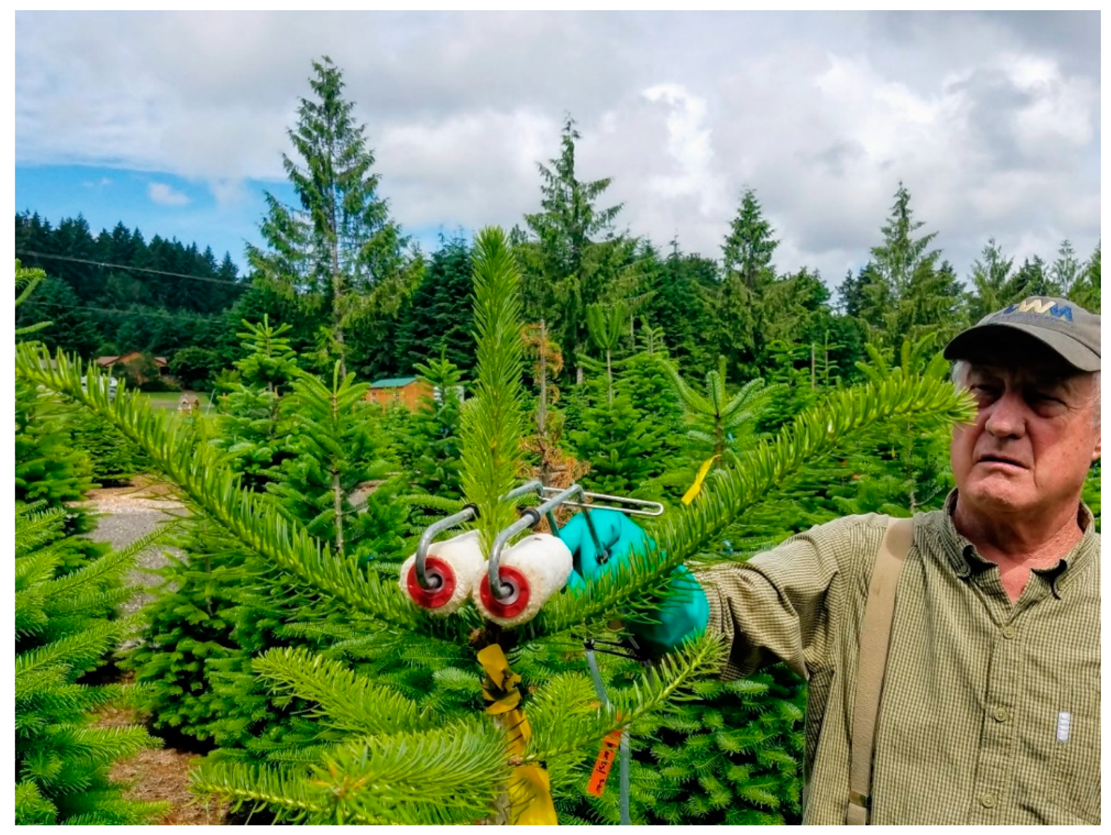 Forests 13 00212 g002