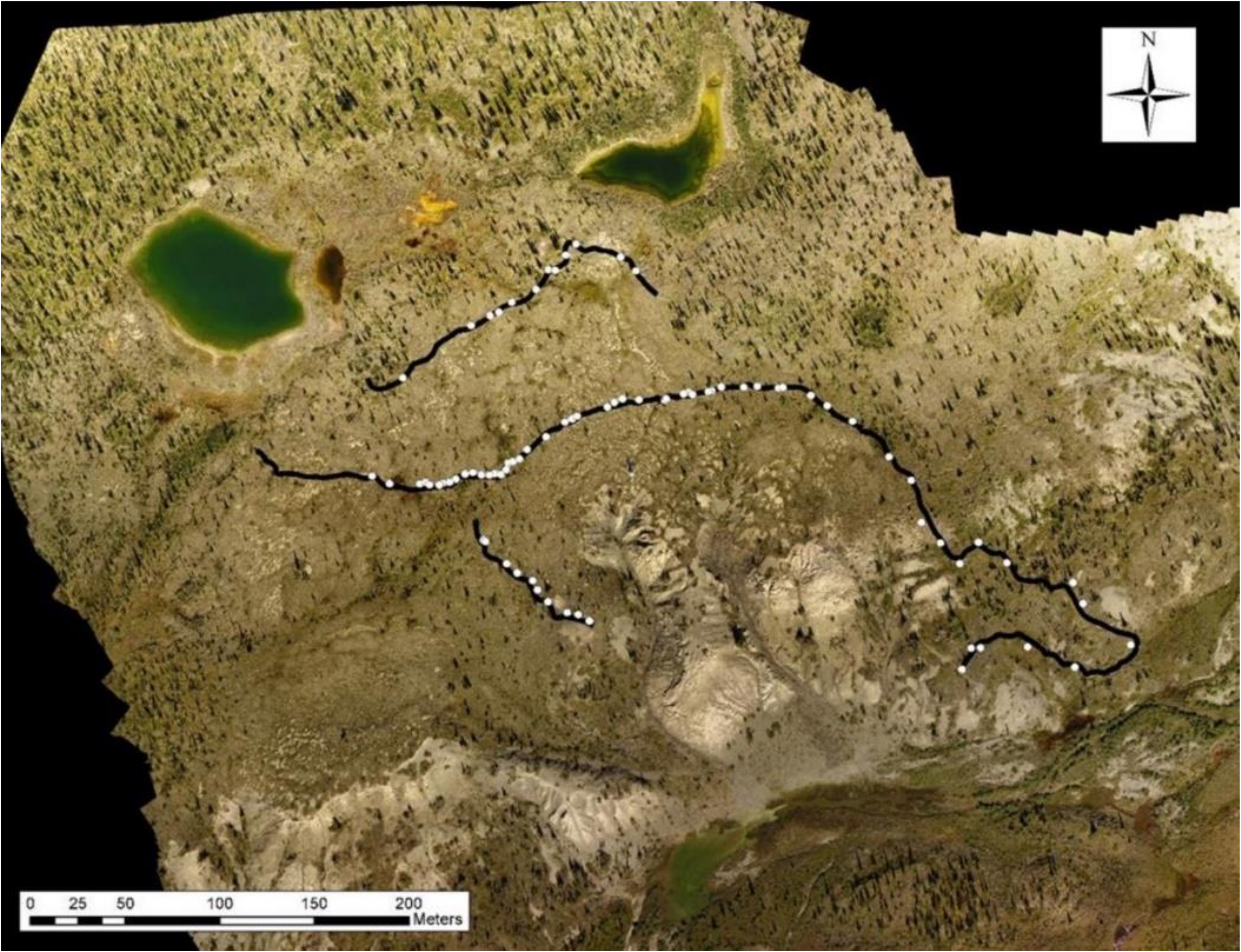 Forests 13 00221 g002 550