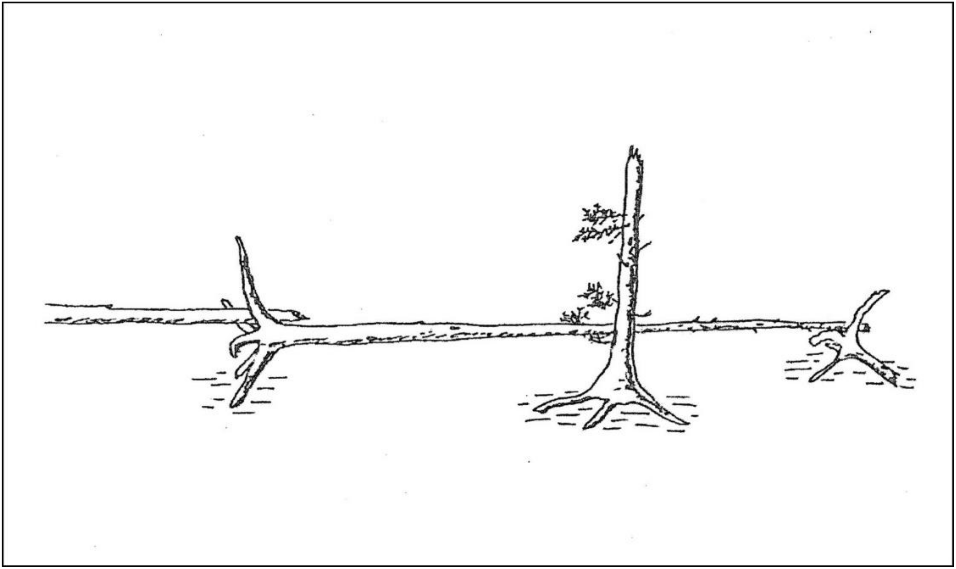 Forests 13 00221 g003 550