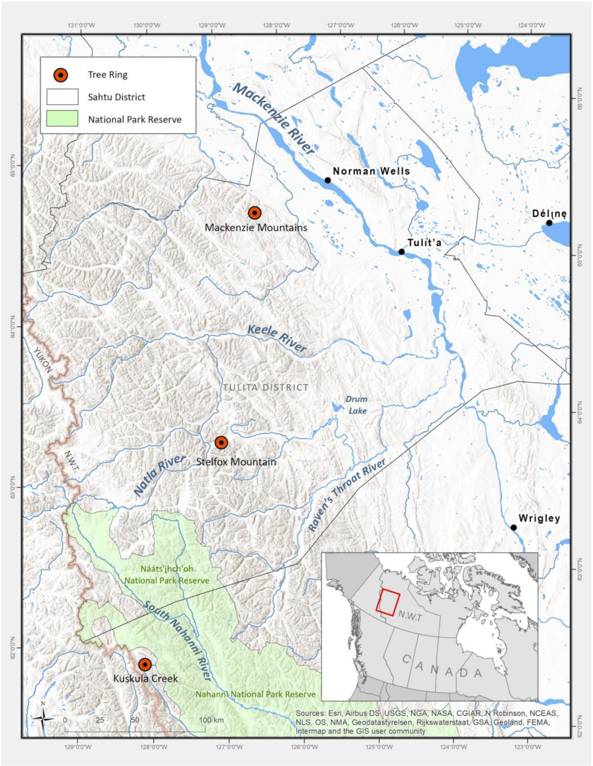 Forests 13 00221 g004 550