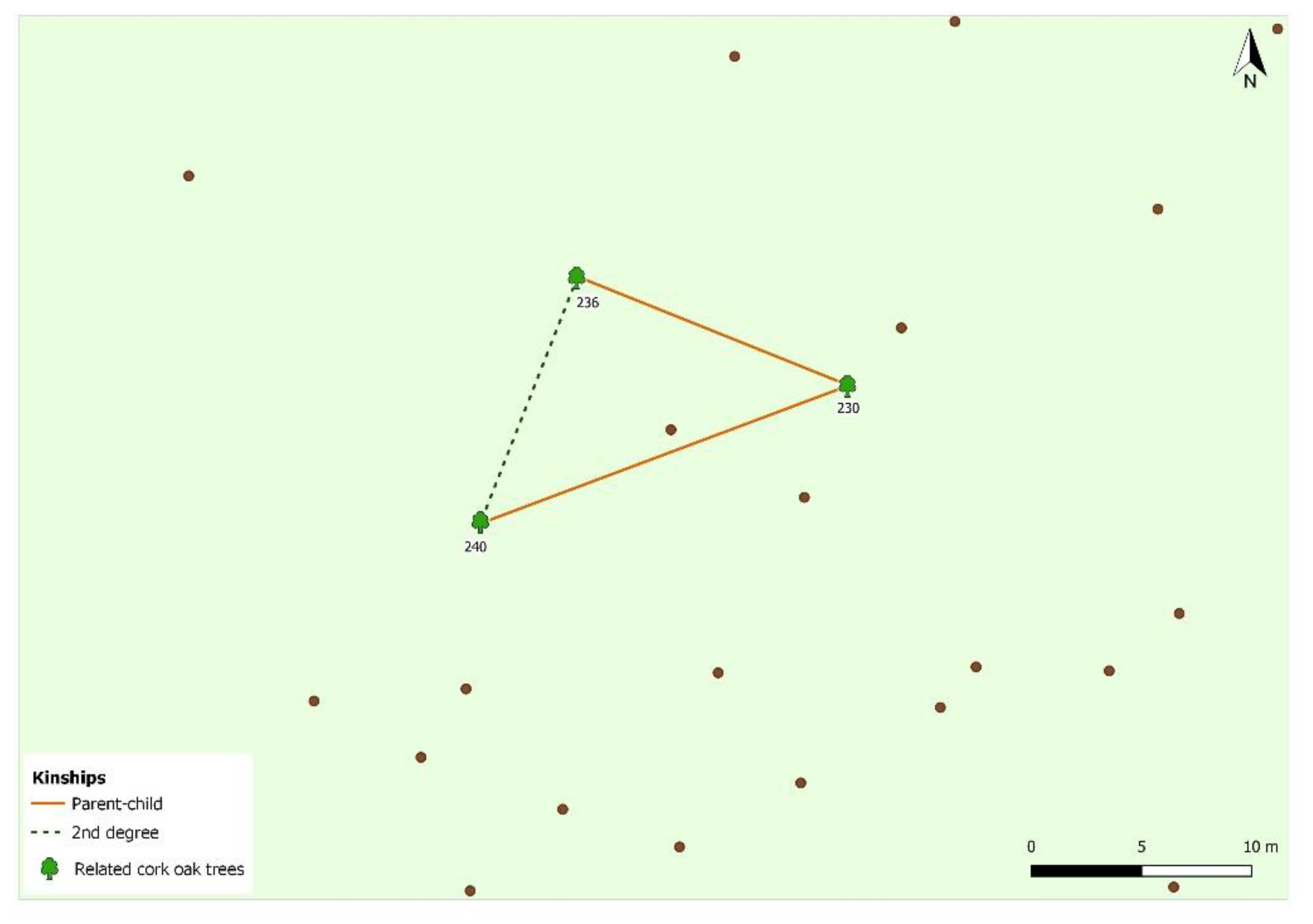 Forests 13 00226 g005 550