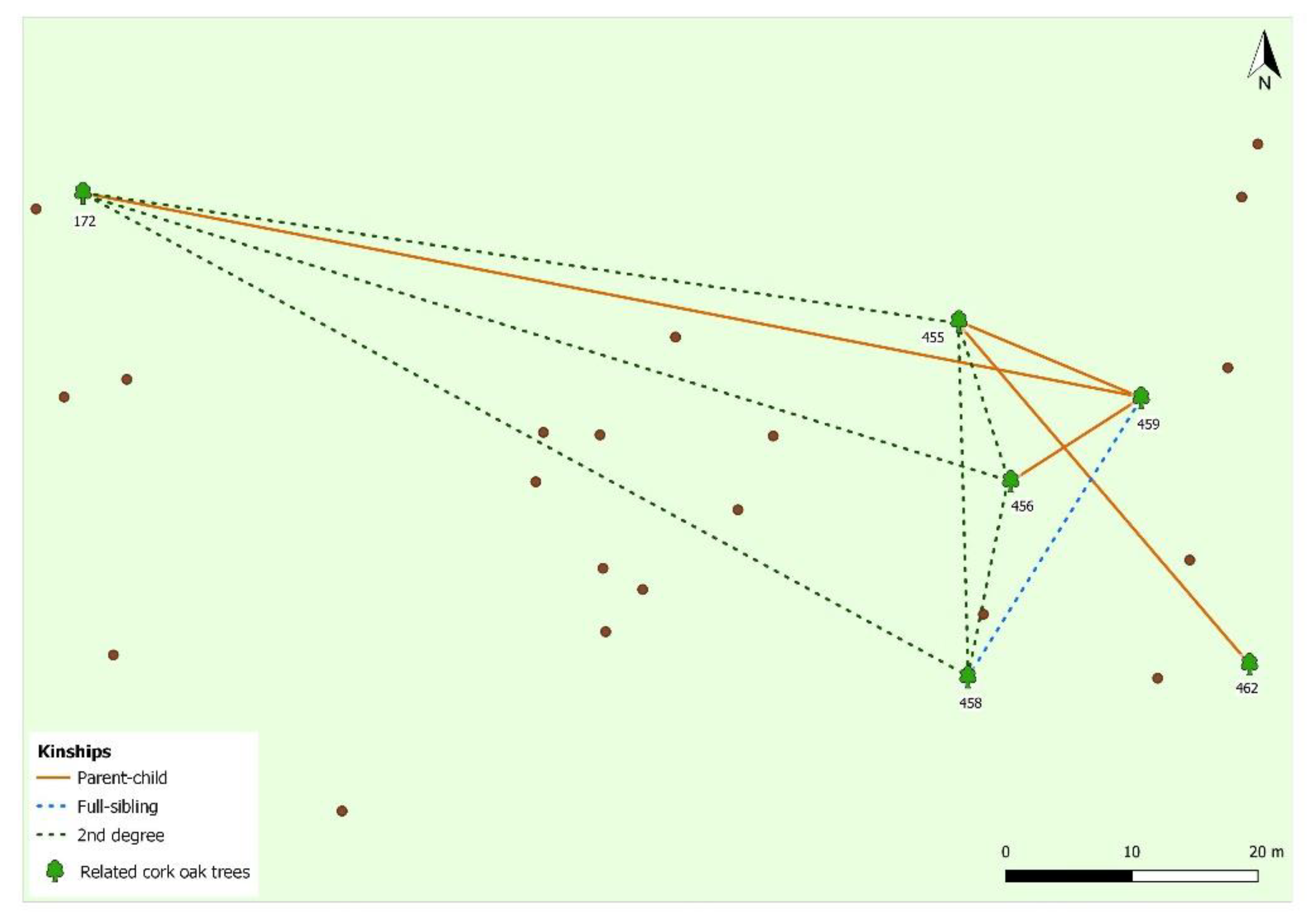 Forests 13 00226 g006 550