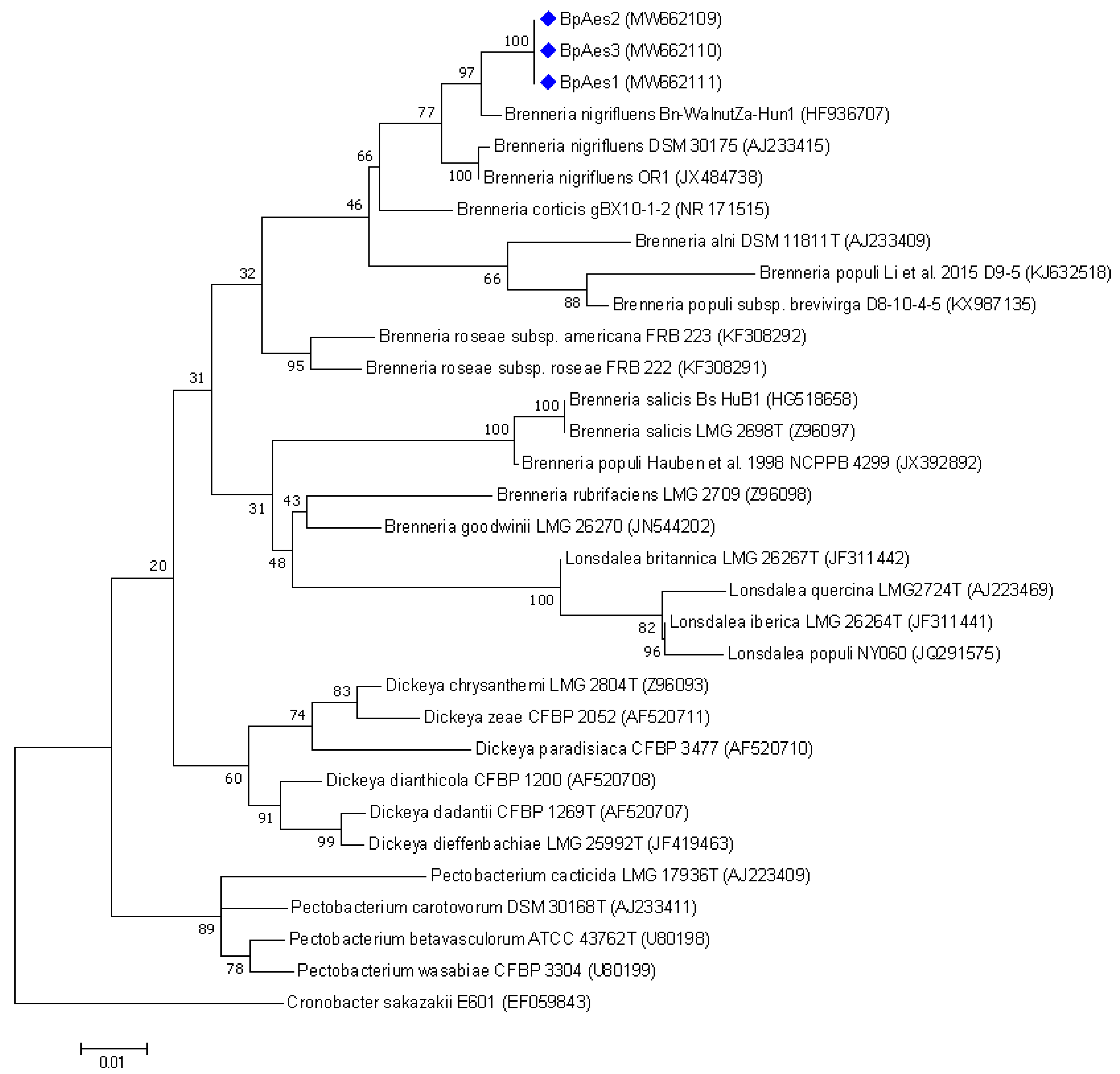 Forests 13 00227 g002