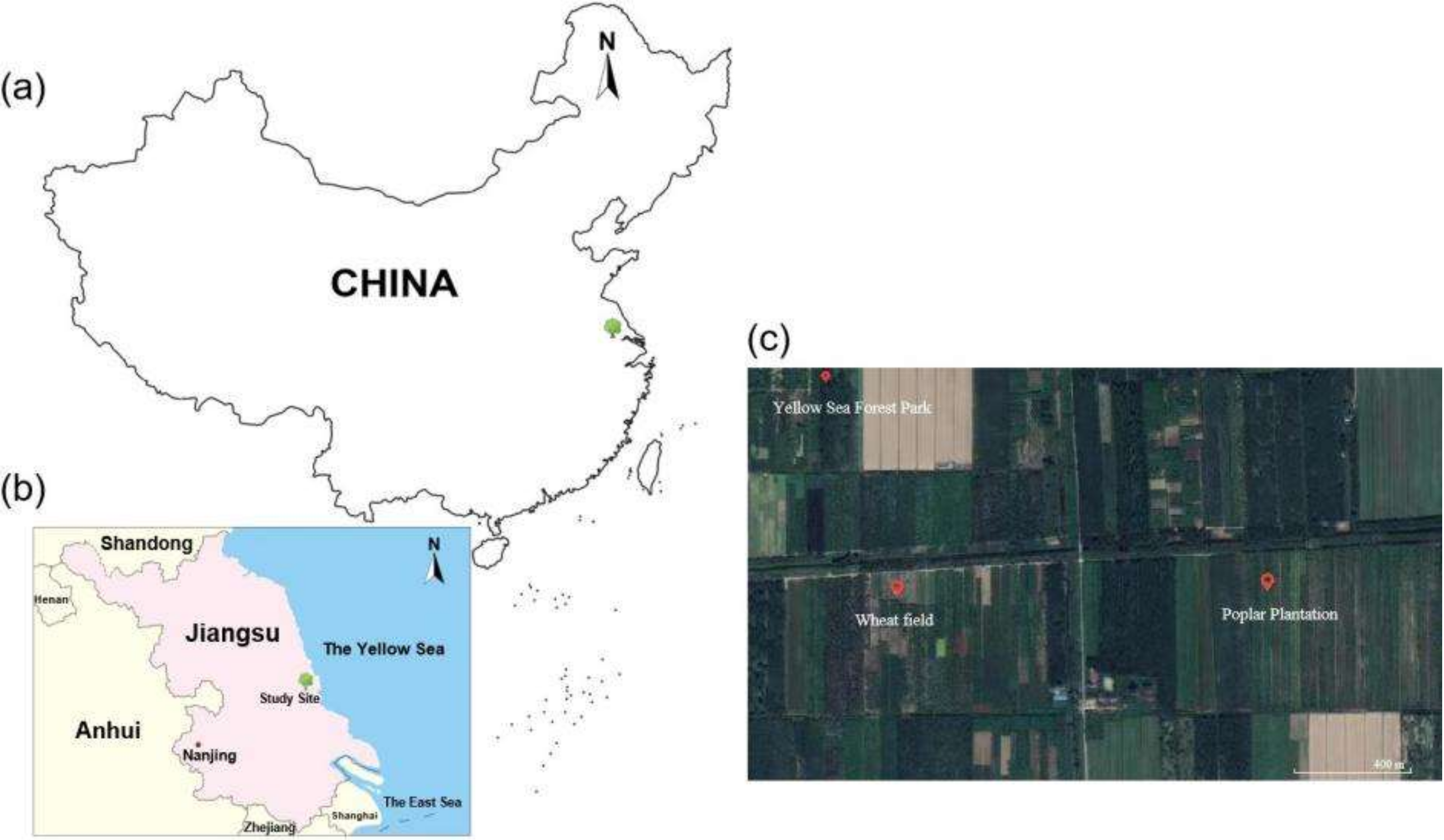 Forests 13 00228 g001