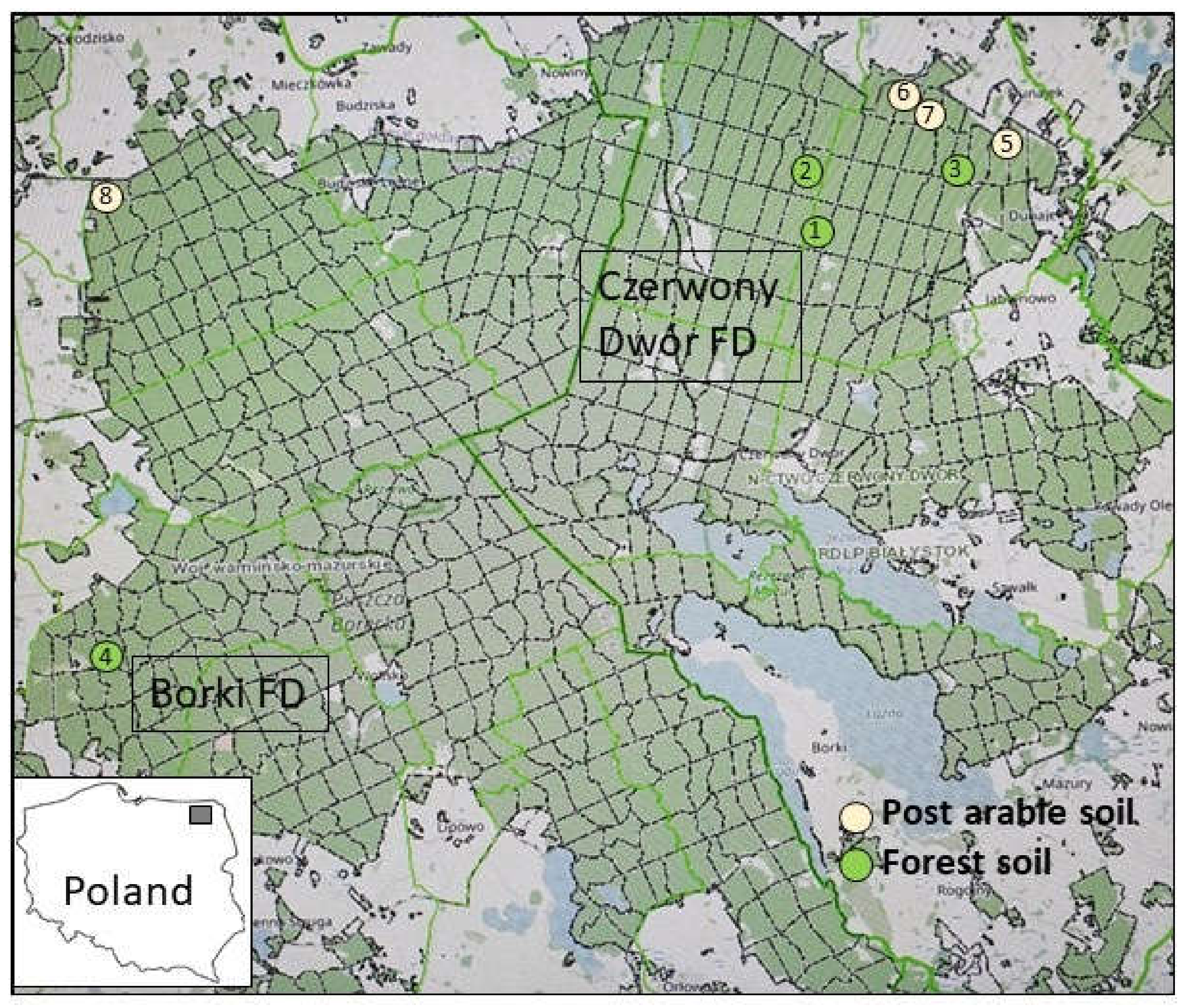 Forests 13 00229 g001 Forests 13 00229 g001