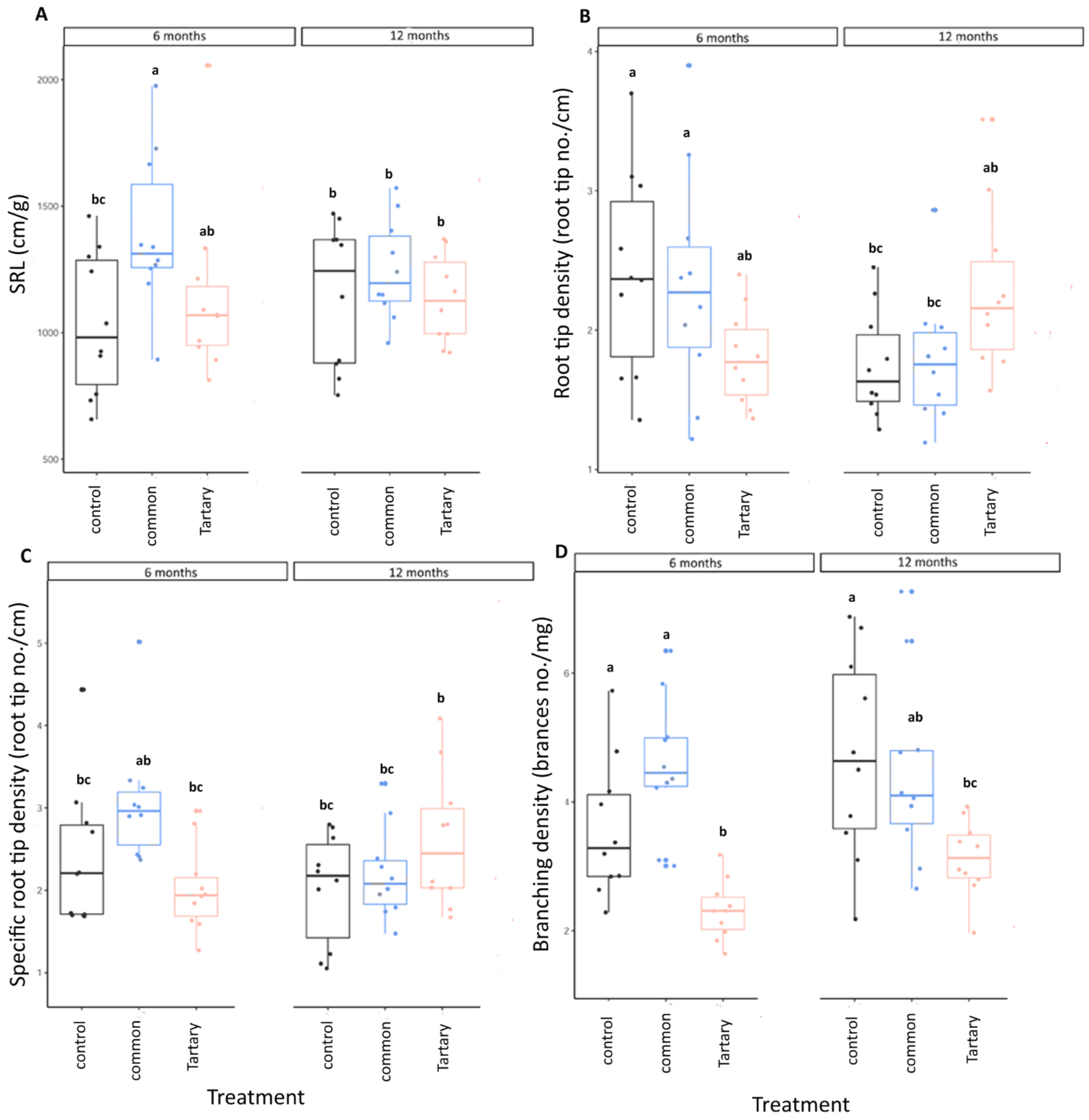 Forests 13 00240 g003