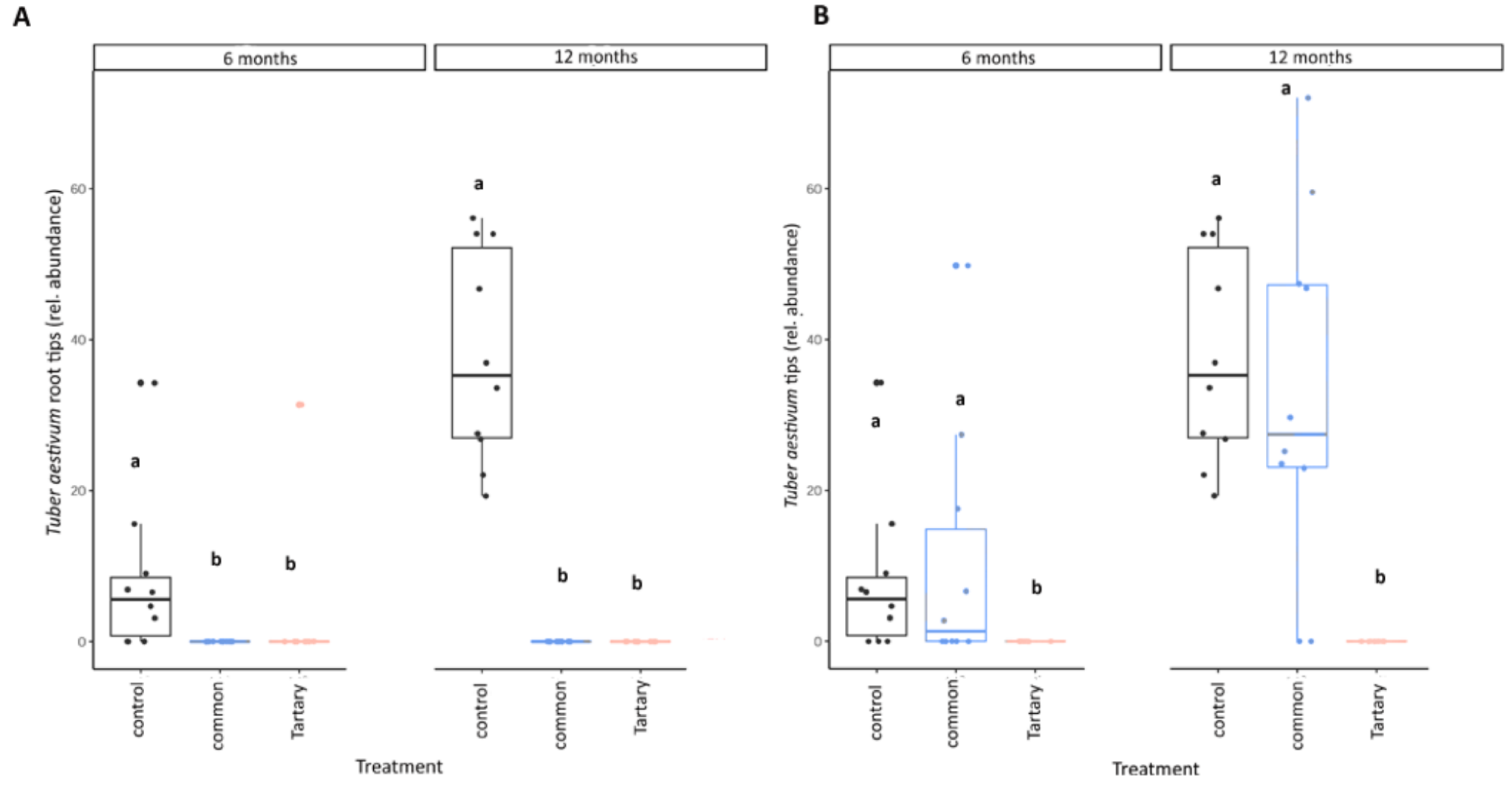 Forests 13 00240 g004