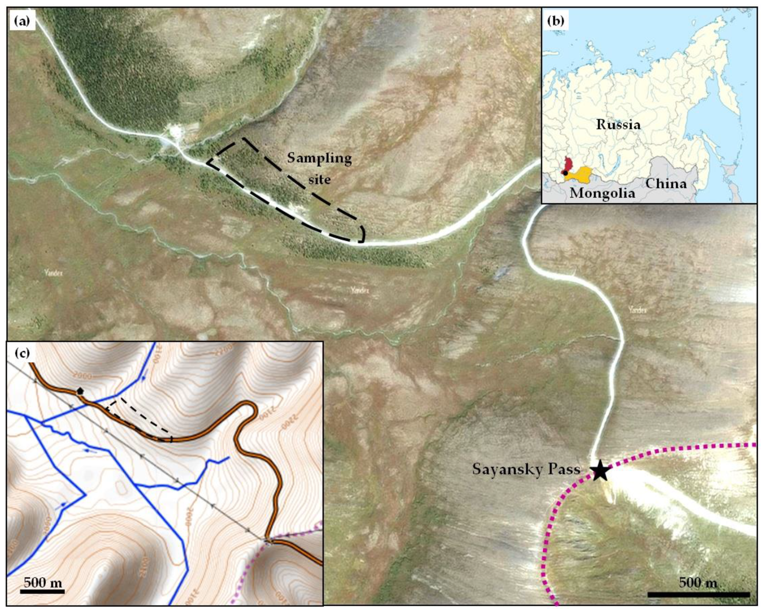 Forests 13 00247 g001