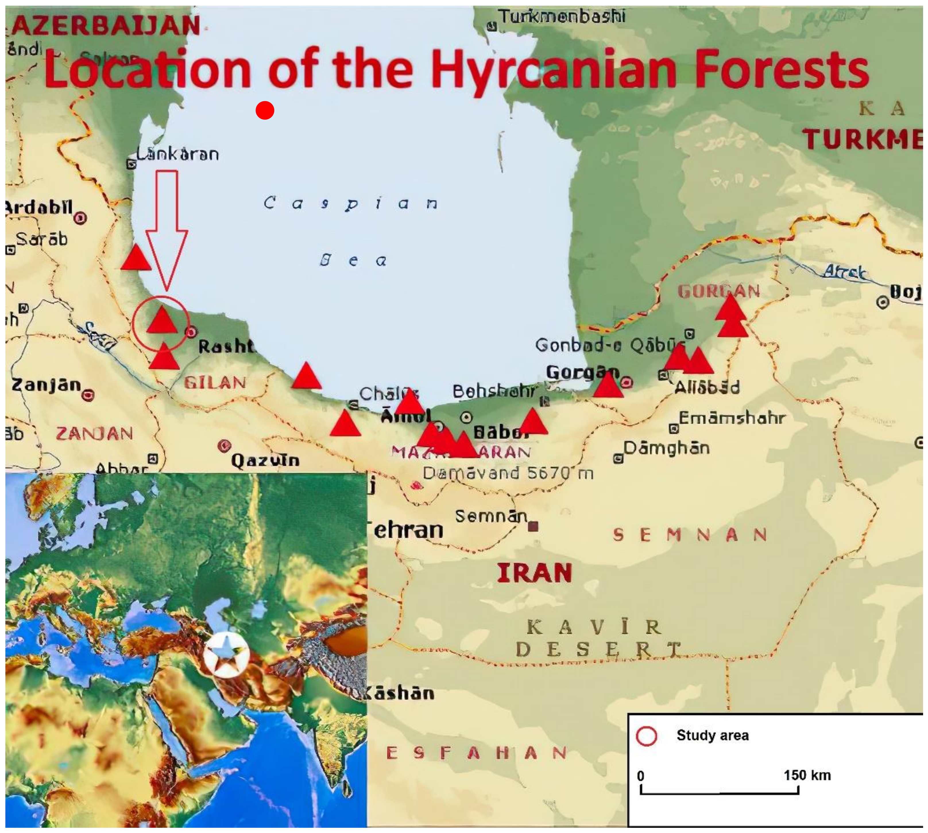 Forests 13 00259 g001