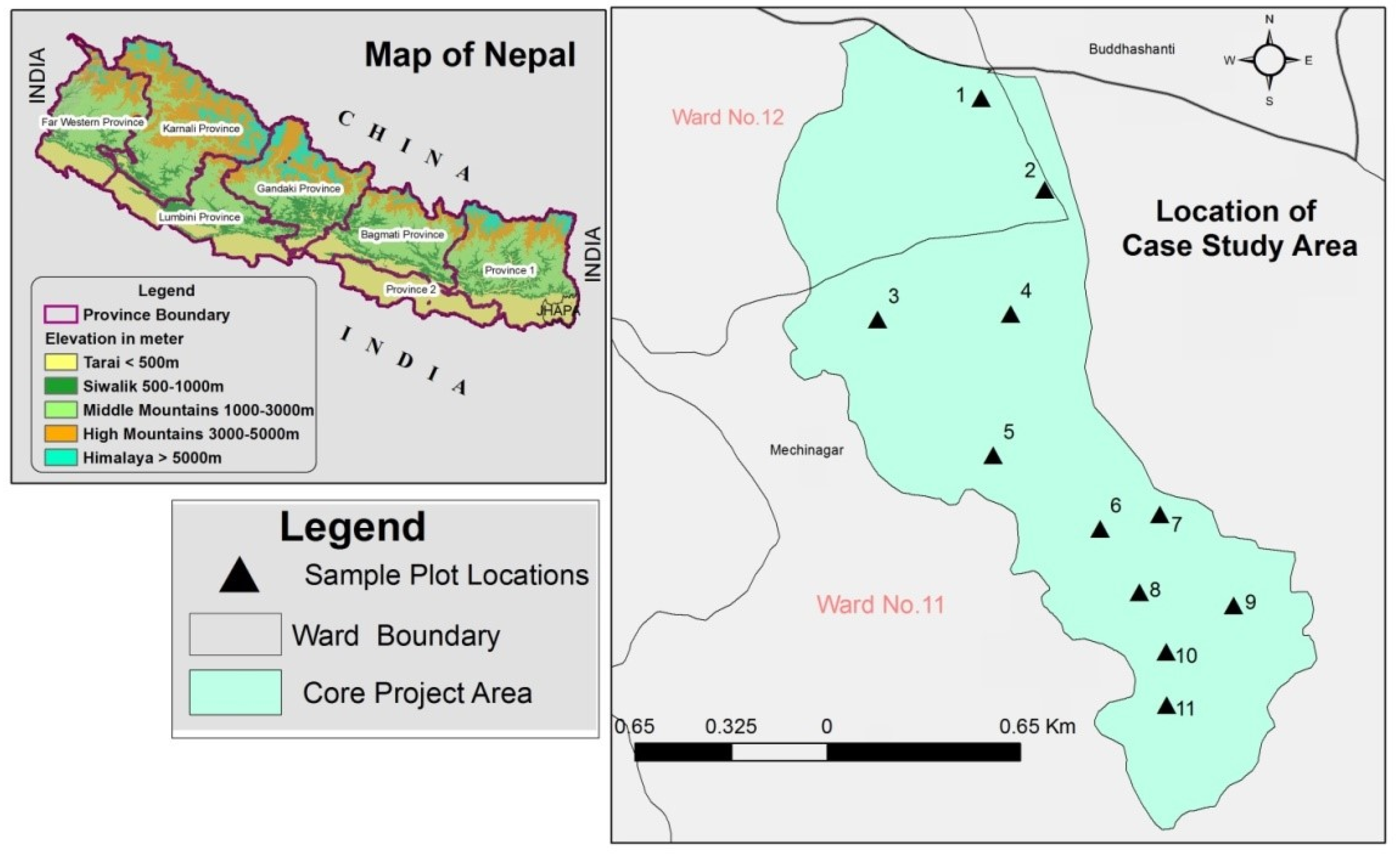 Forests 13 00262 g002 Forests 13 00262 g002