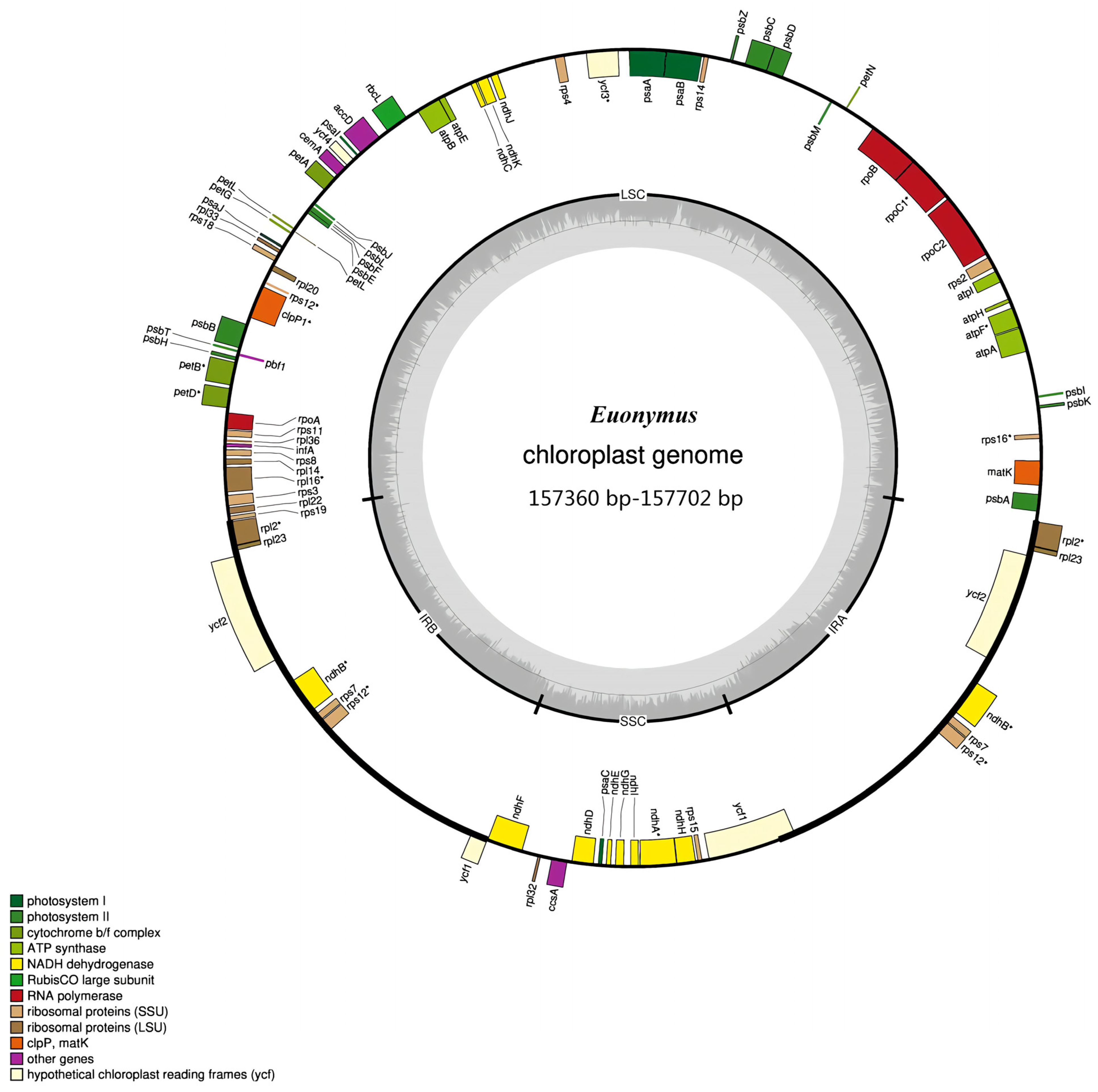 Forests 13 00265 g001 550