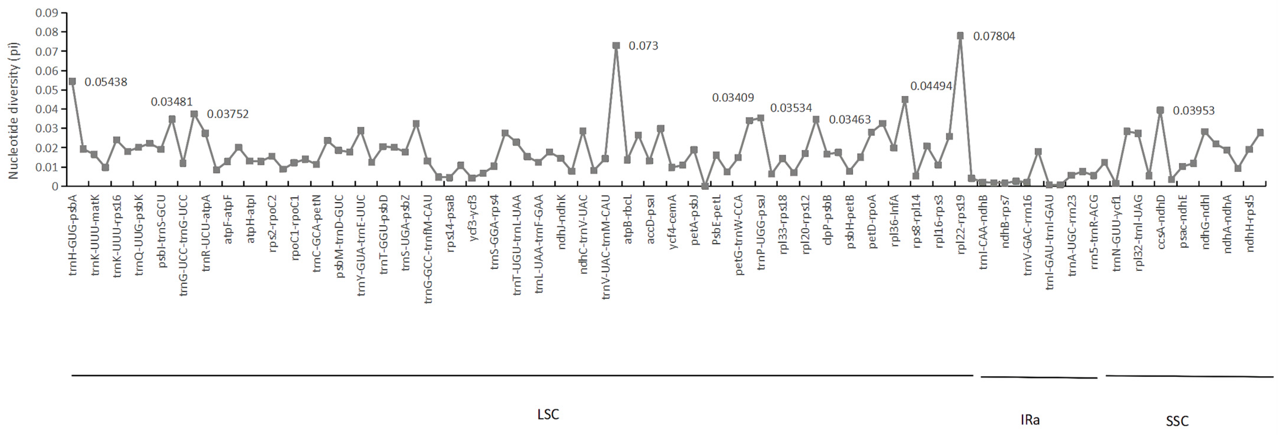 Forests 13 00265 g005 550