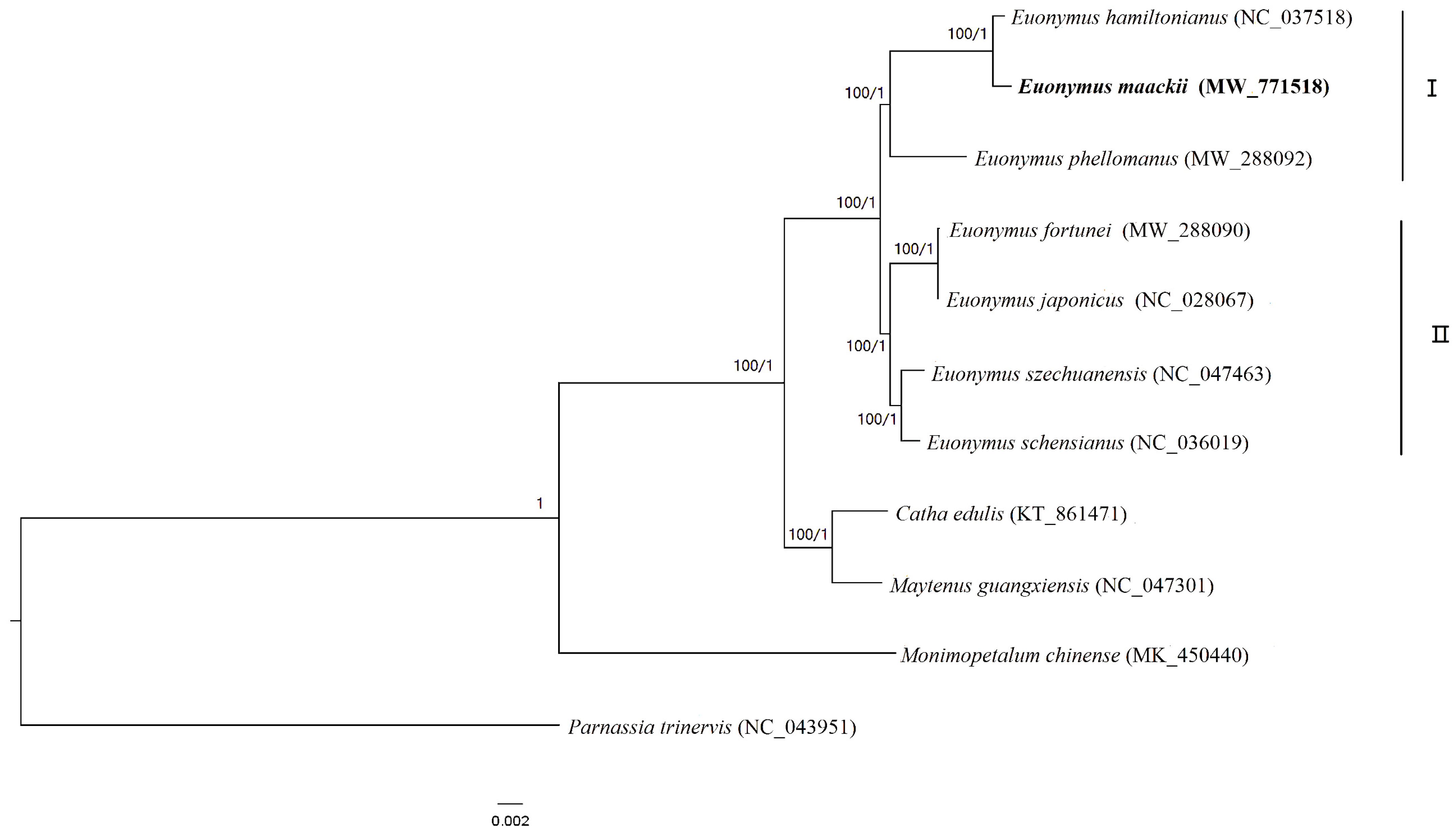 Forests 13 00265 g006 550
