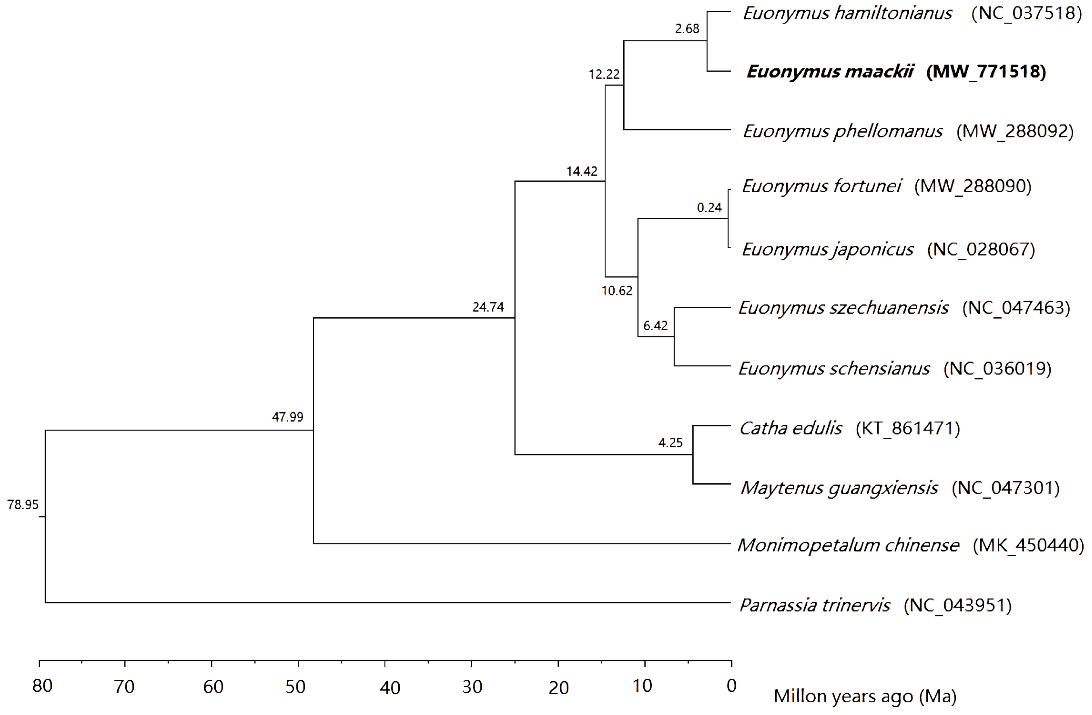 Forests 13 00265 g007 550