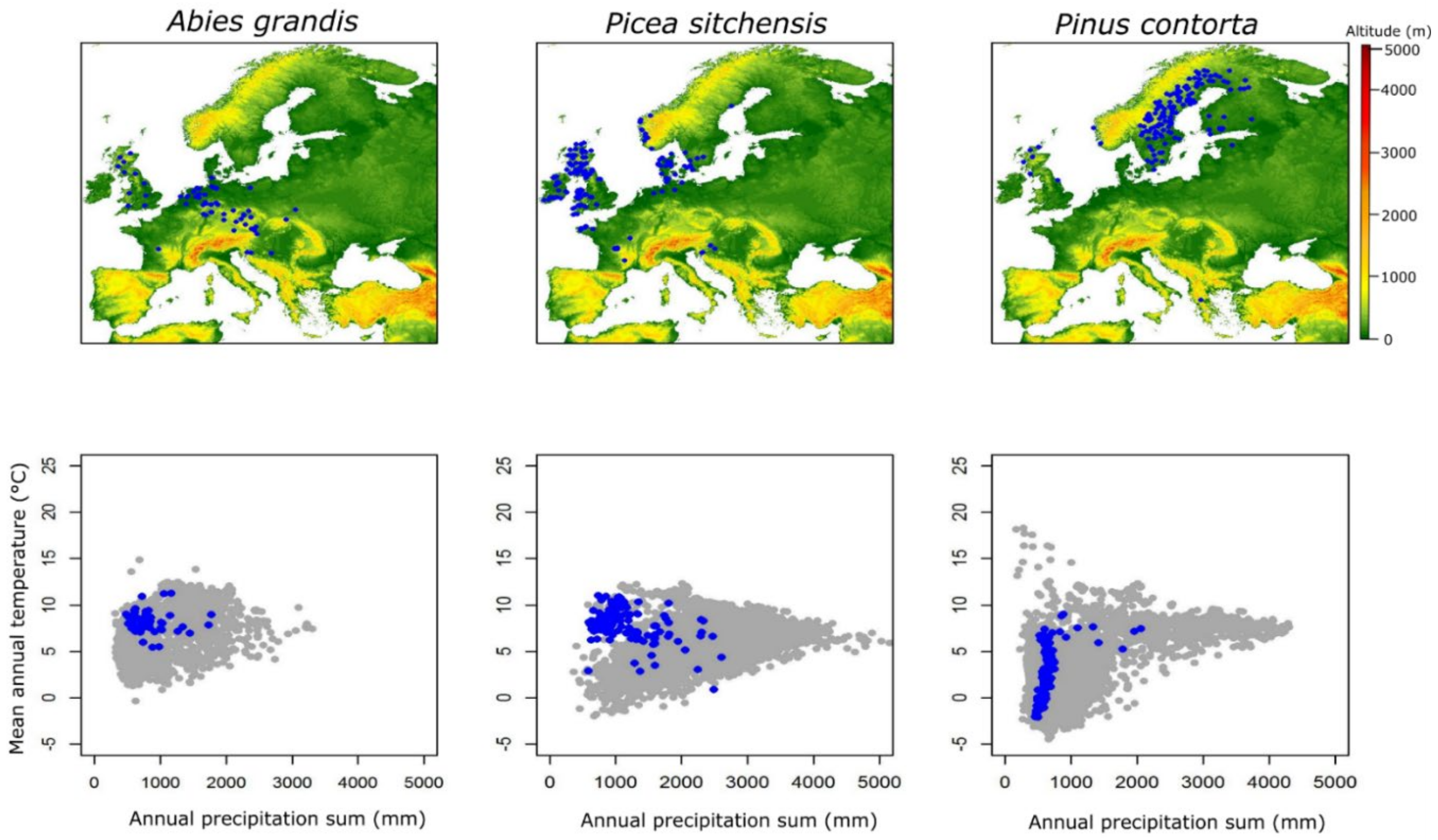 Forests 13 00273 g001a Forests 13 00273 g001a