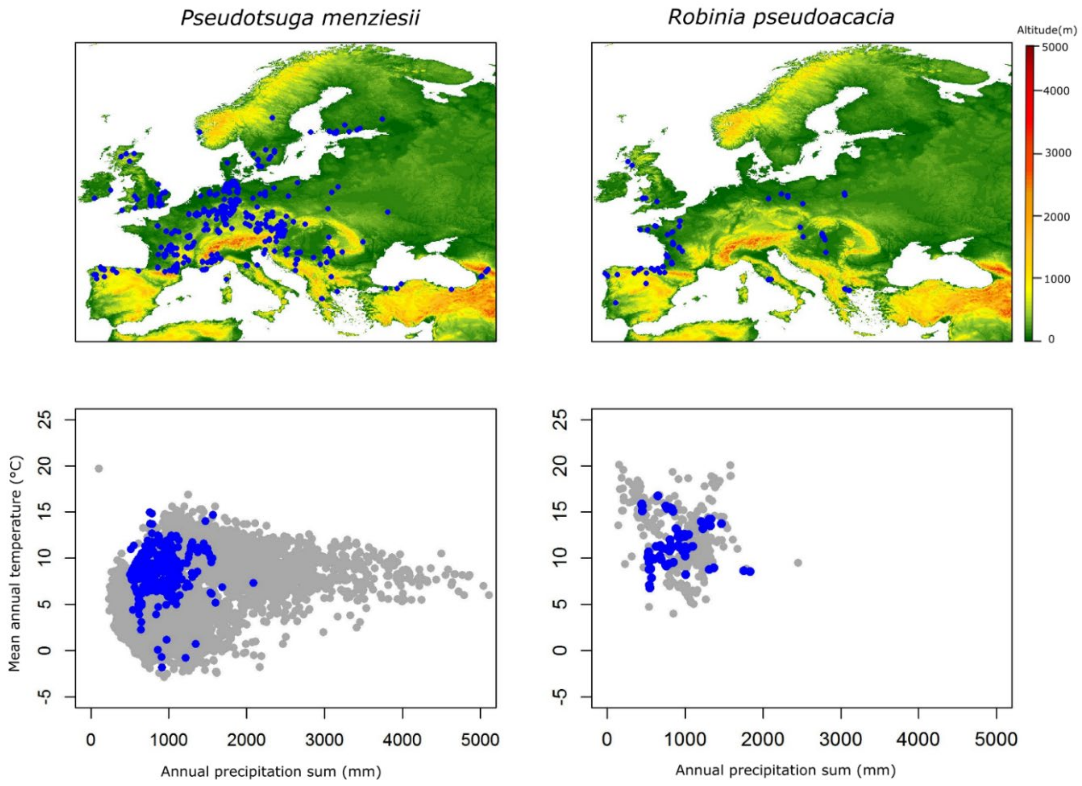 Forests 13 00273 g001b Forests 13 00273 g001b